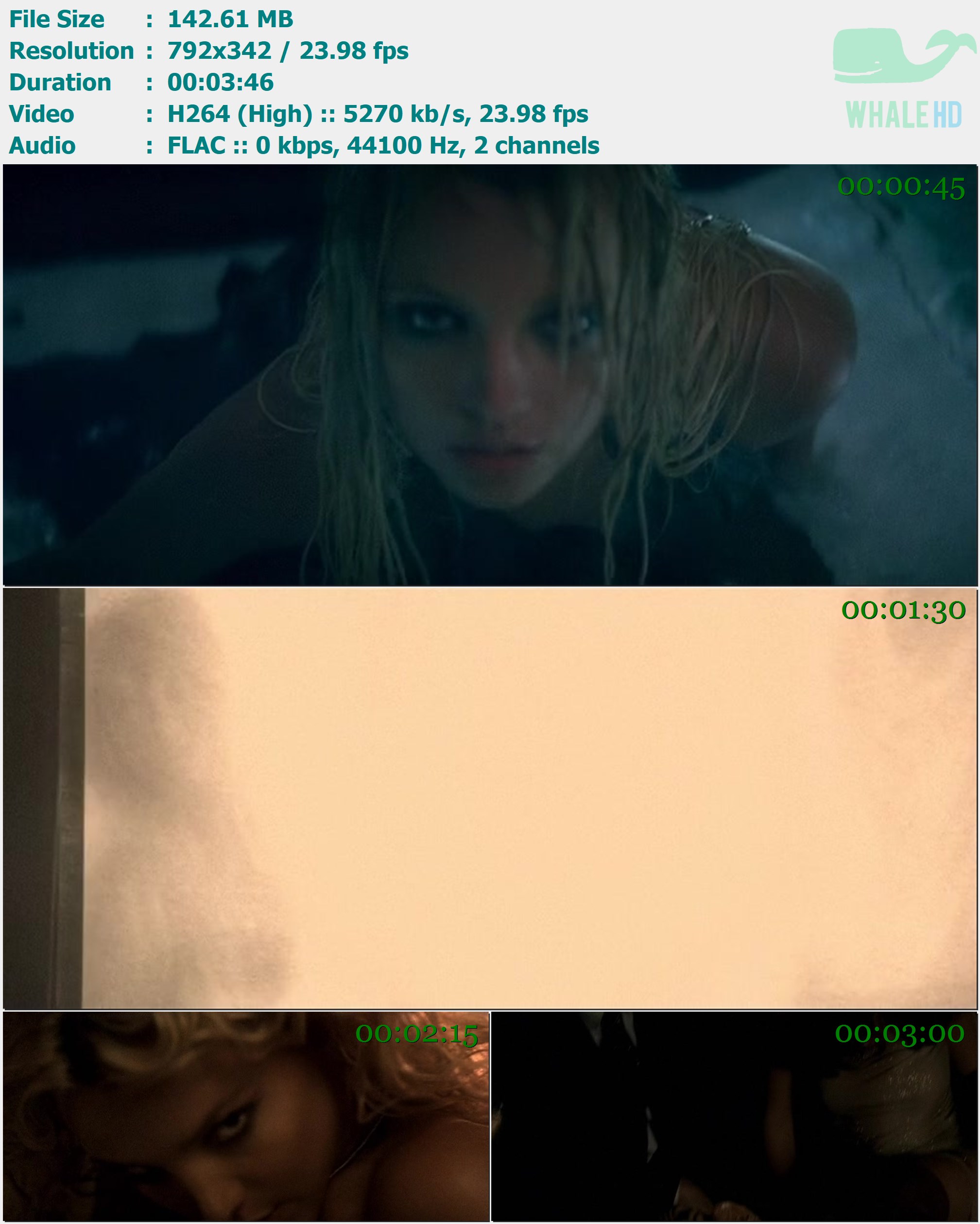 Britney Spears - My Prerogative 2004 DVDRip 342p H264 - 142.61MB