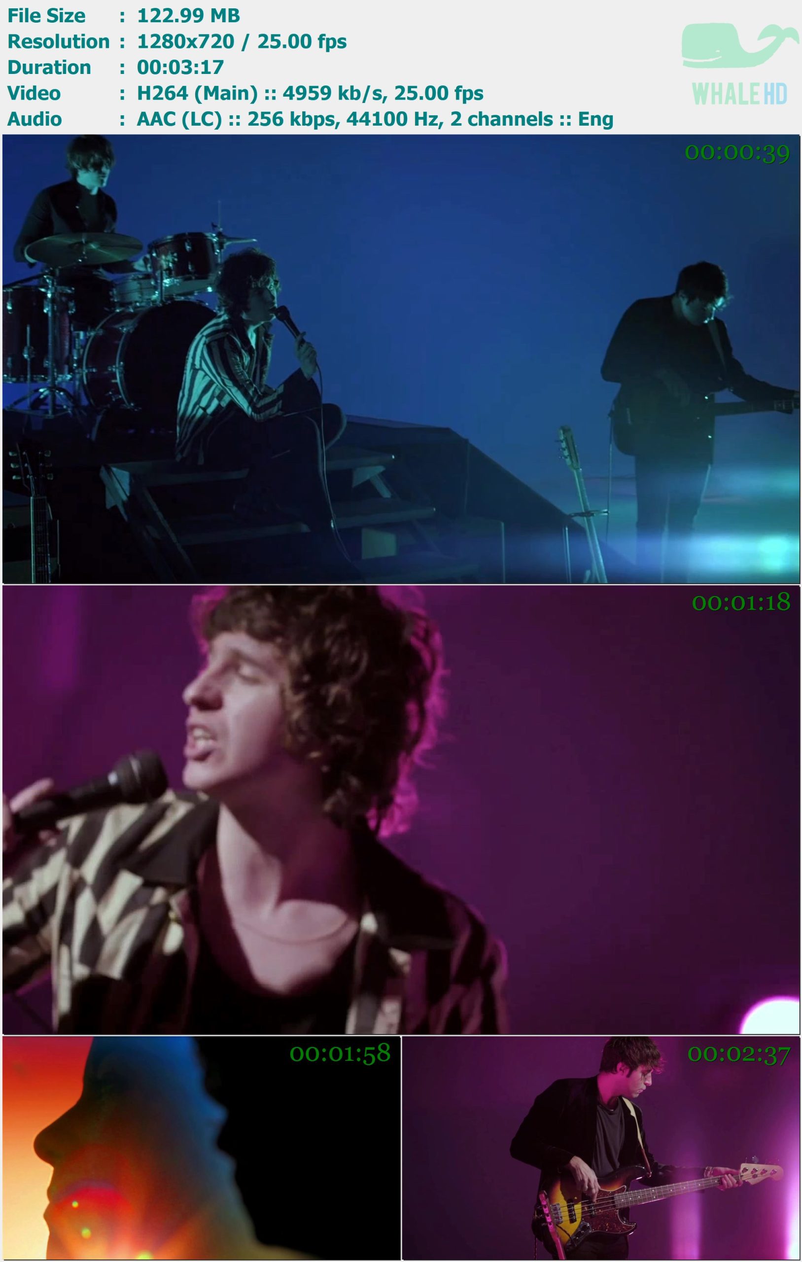 The Kooks - Junk Of The Heart 2011 MasterRip 720p H264 - 122.99MB