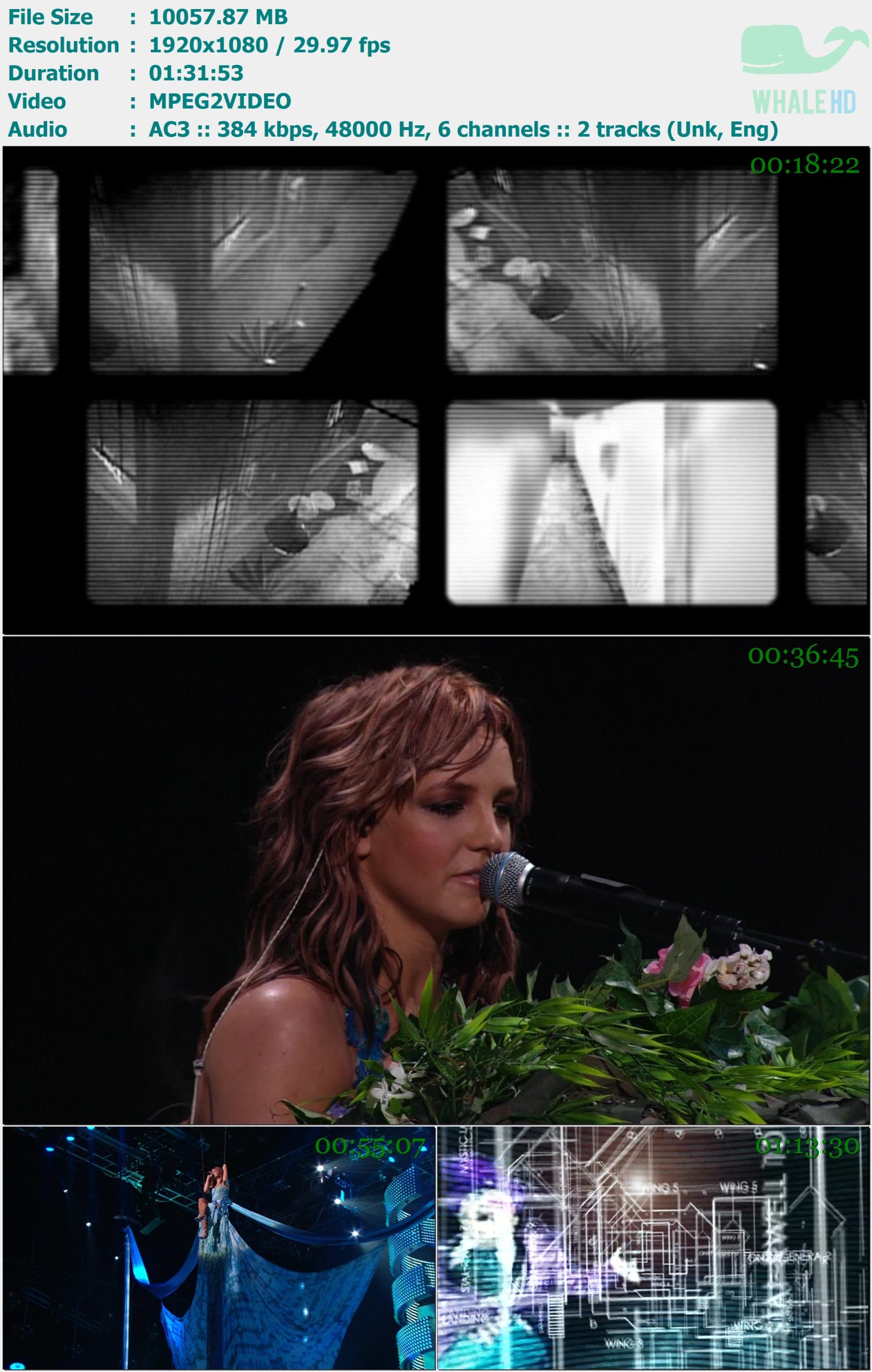 Britney Spears - Live From Miami (The Onyx Hotel Tour 2004) HDTV 1080i MPEG2 - 9.82GB