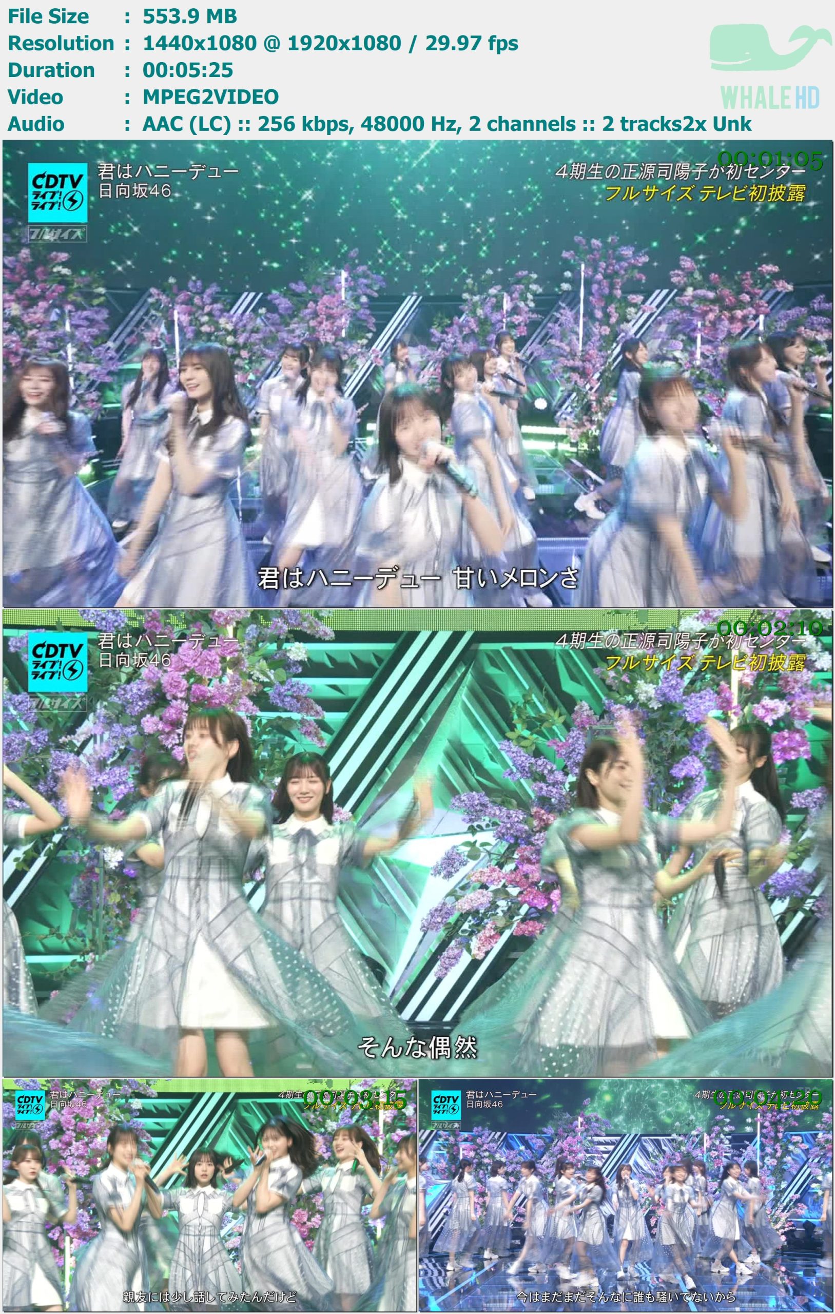 乃木坂46 Hinatazaka46 - Kimi wa Honeydew (CDTV Live! Live! 2024.05.20) HDTV 1080i MPEG2 - 553.90MB