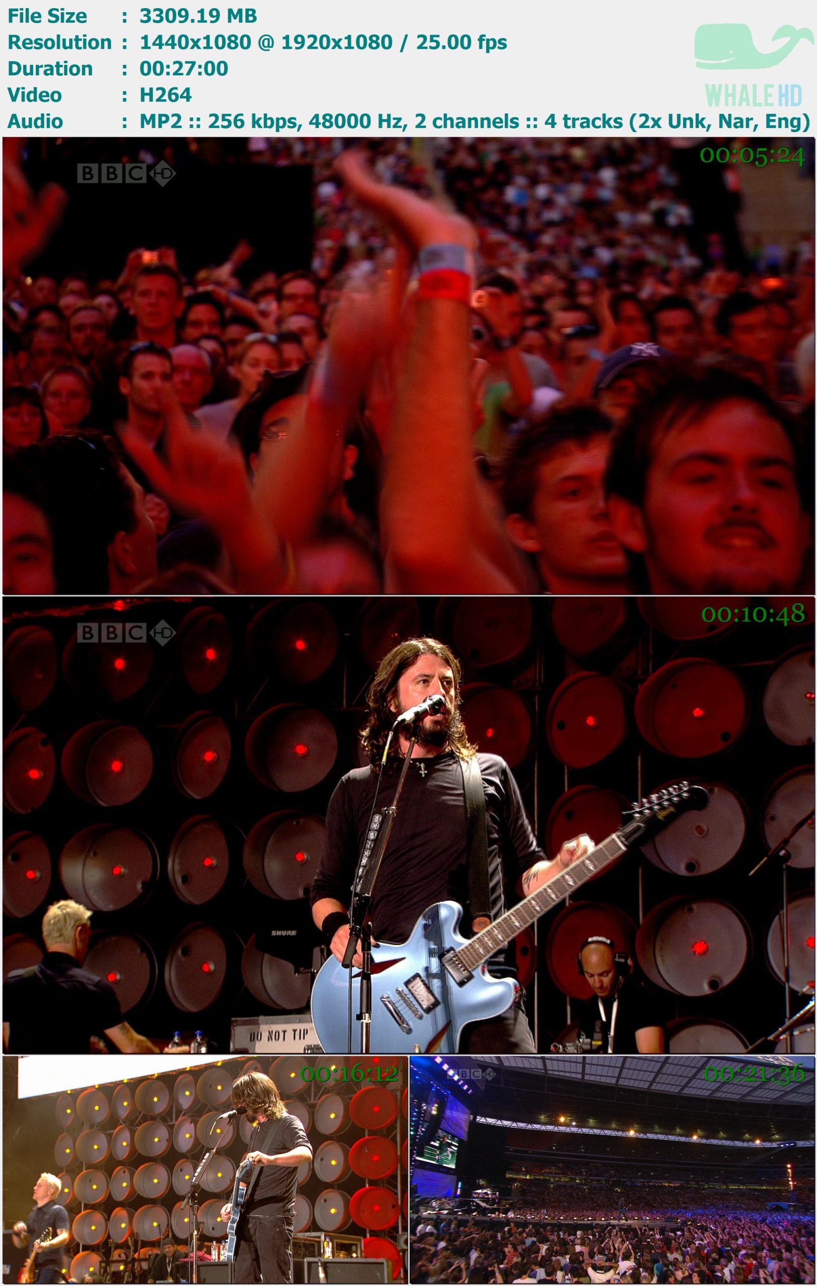 Foo Fighters - BBC Live At Earth 2007 HDTV 1080i H264 - 3.23GB