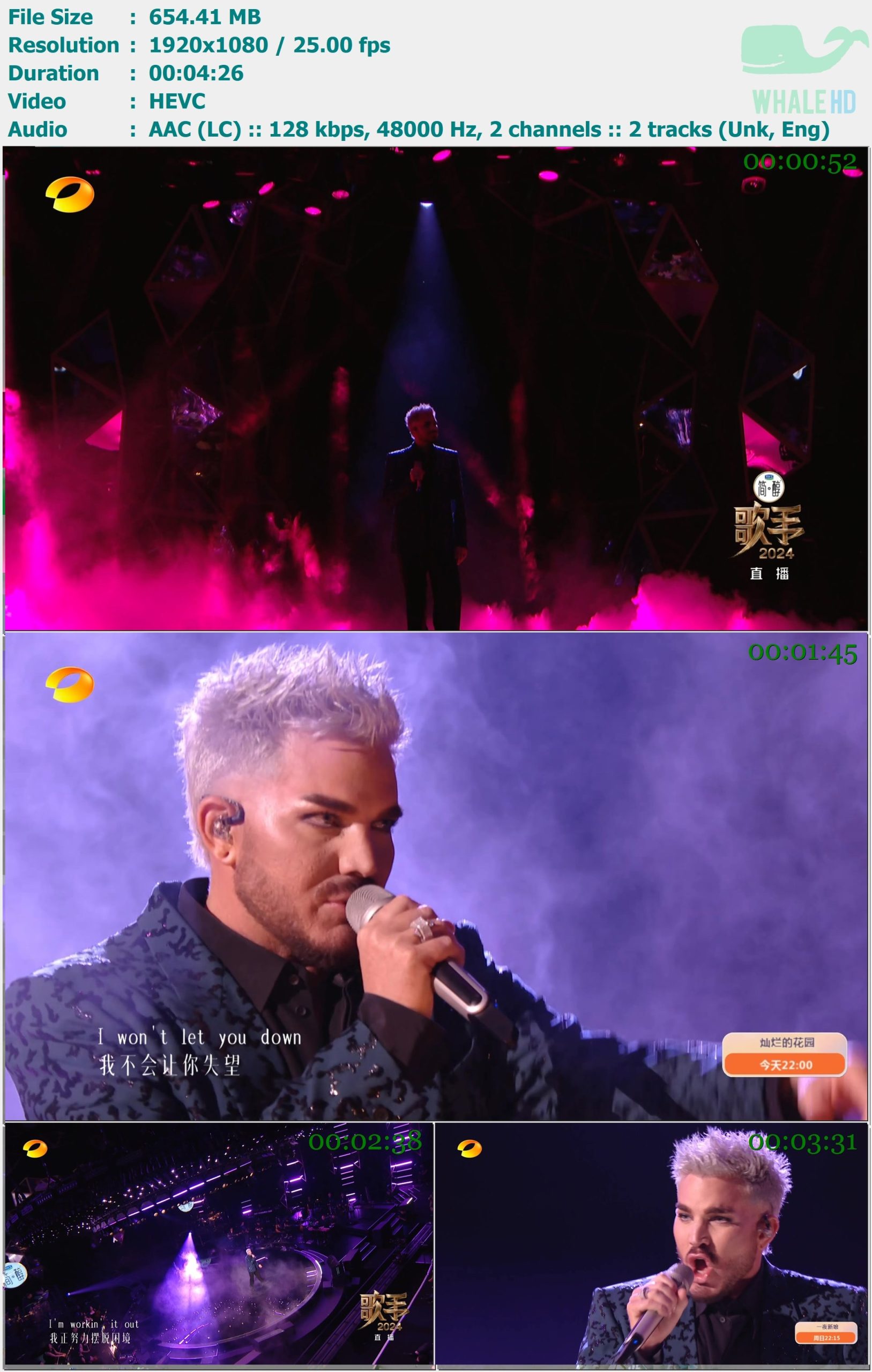 Adam Lambert - Whataya Want from Me (歌手 Singer S09E03 2024) HDTV 1080p H265+H264 - 654.41MB+513.40MB