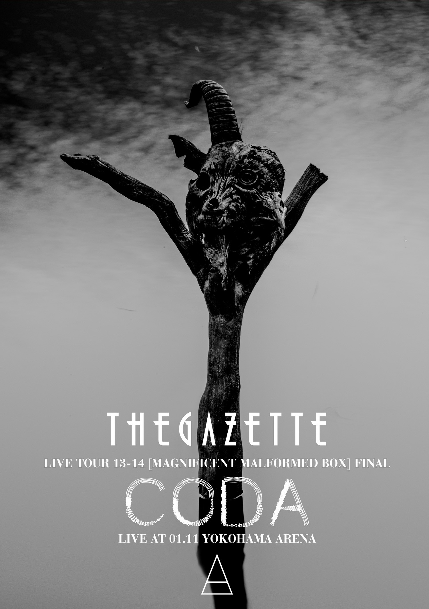 the GazettE - the GazettE LIVE TOUR 13-14 [MAGNIFICENT MALFORMED BOX] FINAL CODA LIVE AT 01.11 YOKOHAMA ARENA 2014 BD蓝光原盘 1080i H264 - 34.80GB