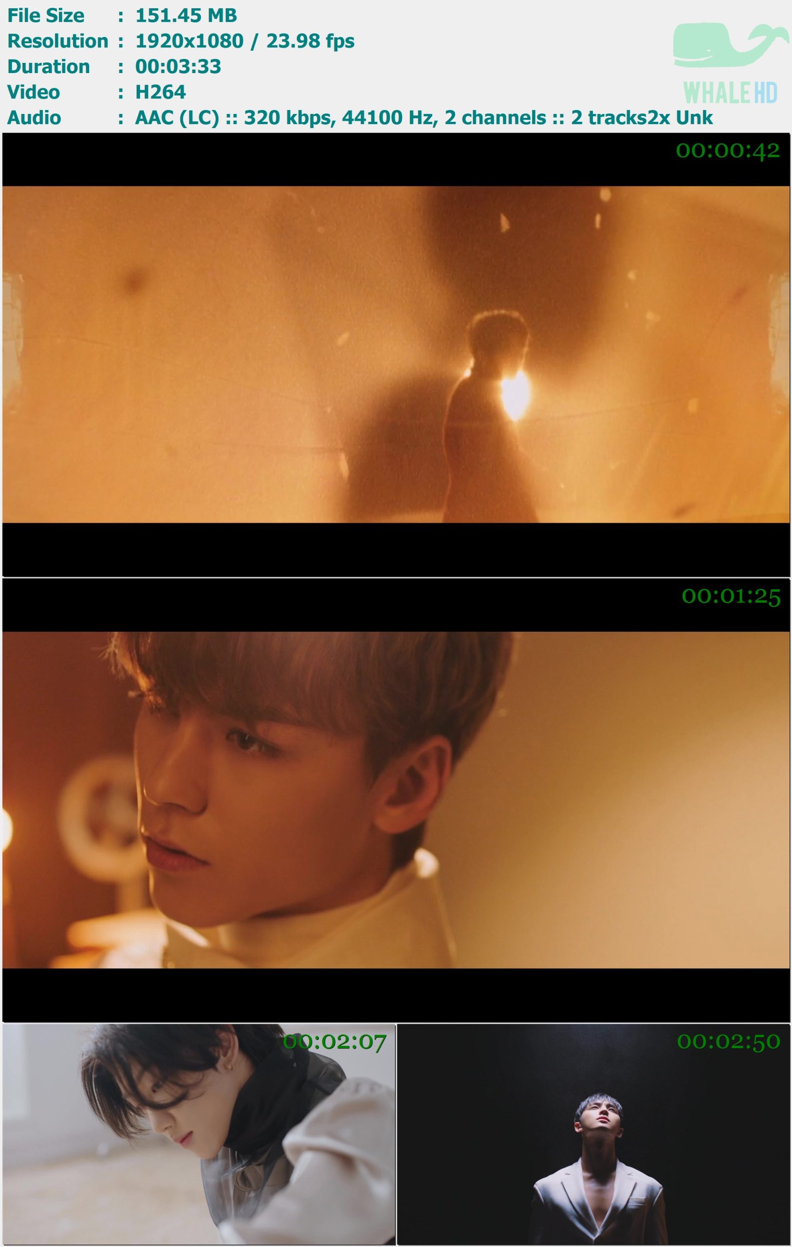 SEVENTEEN (세븐틴) - Maiochiruhanabira (Fallin' Flower) 2020 𝐓𝐢𝐝𝐚𝐥 1080p H264 - 151.45MB