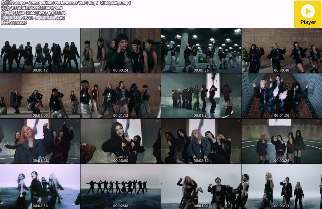 aespa - Armageddon (Performance Ver.) 2024 BugsRip 2160p60fps H265 - 1.52GB