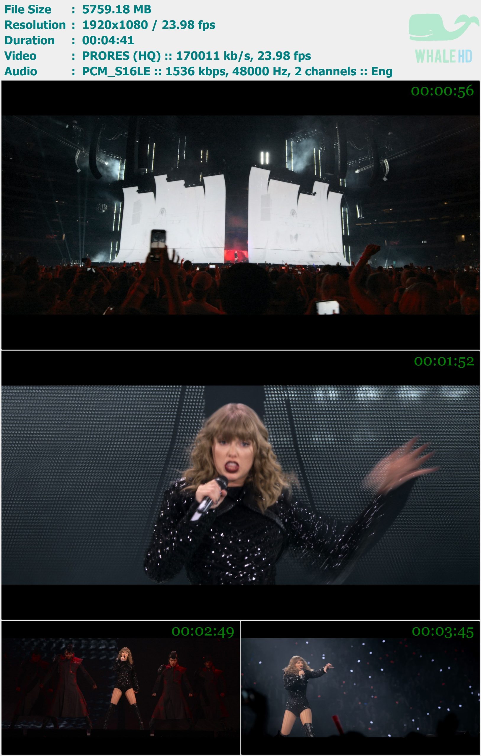 Taylor Swift - ...Ready For It (Reputation Stadium Tour 2018) Master 1080p ProRes - 5.62GB