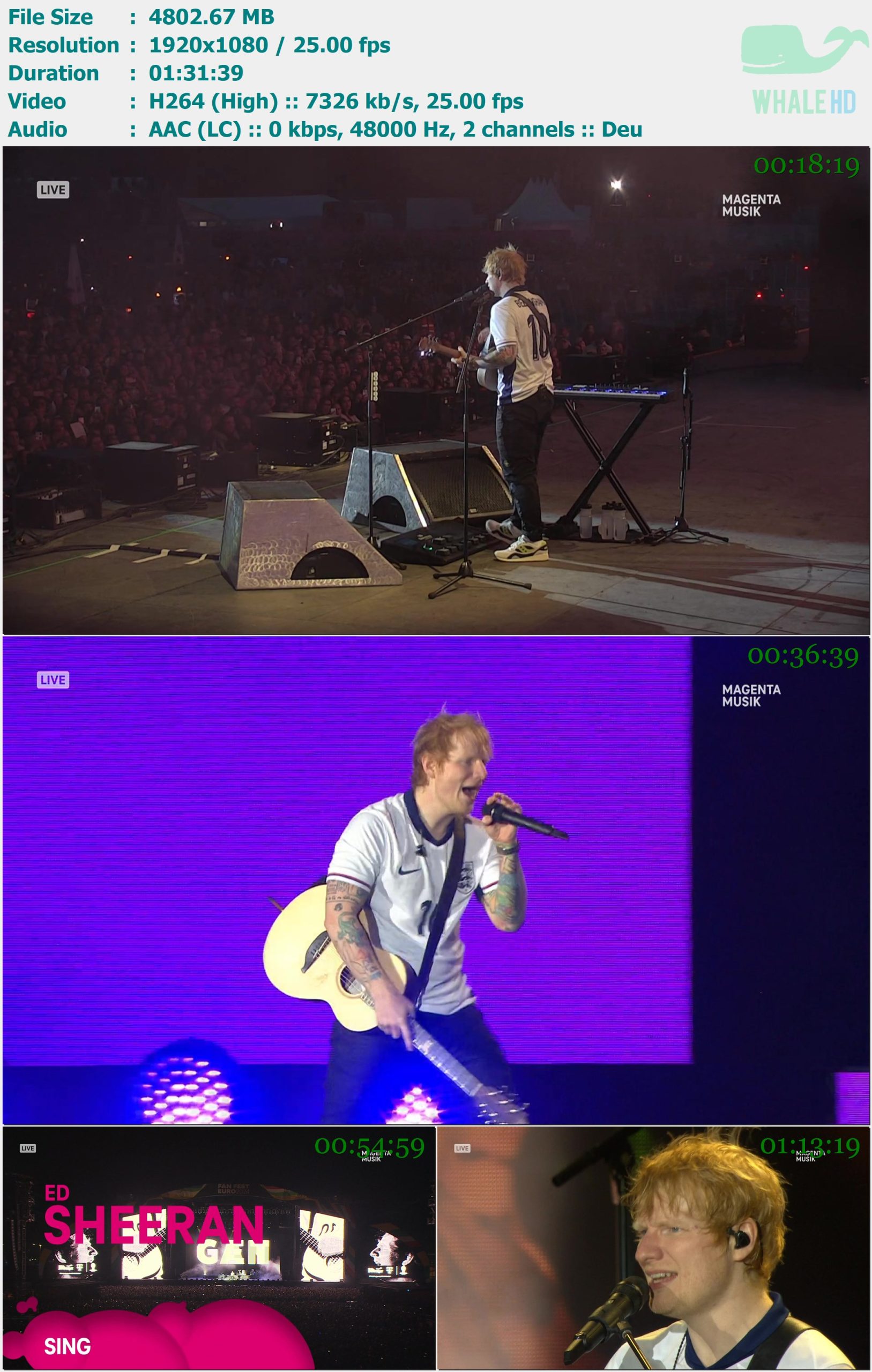 Ed Sheeran - Fan Fest Euro (Munich) 2024 WEB-DL 1080p H264 - 4.69GB