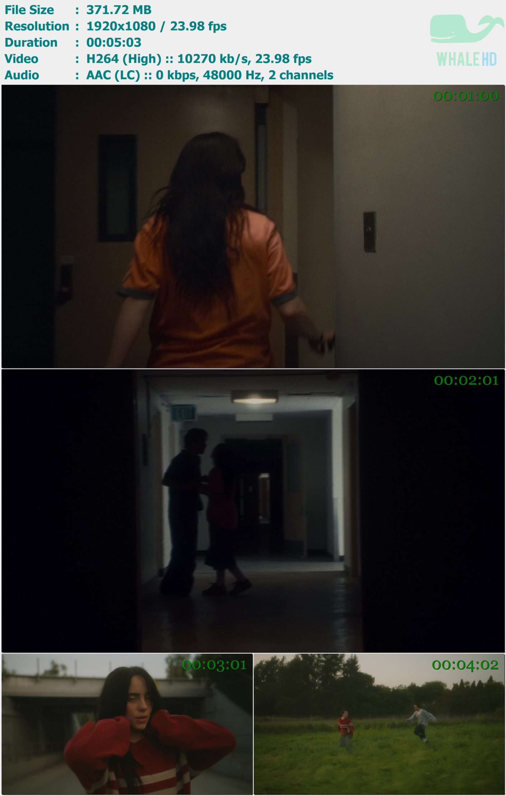 Billie Eilish - CHIHIRO 2024 AM 1080p H264 - 371.72MB