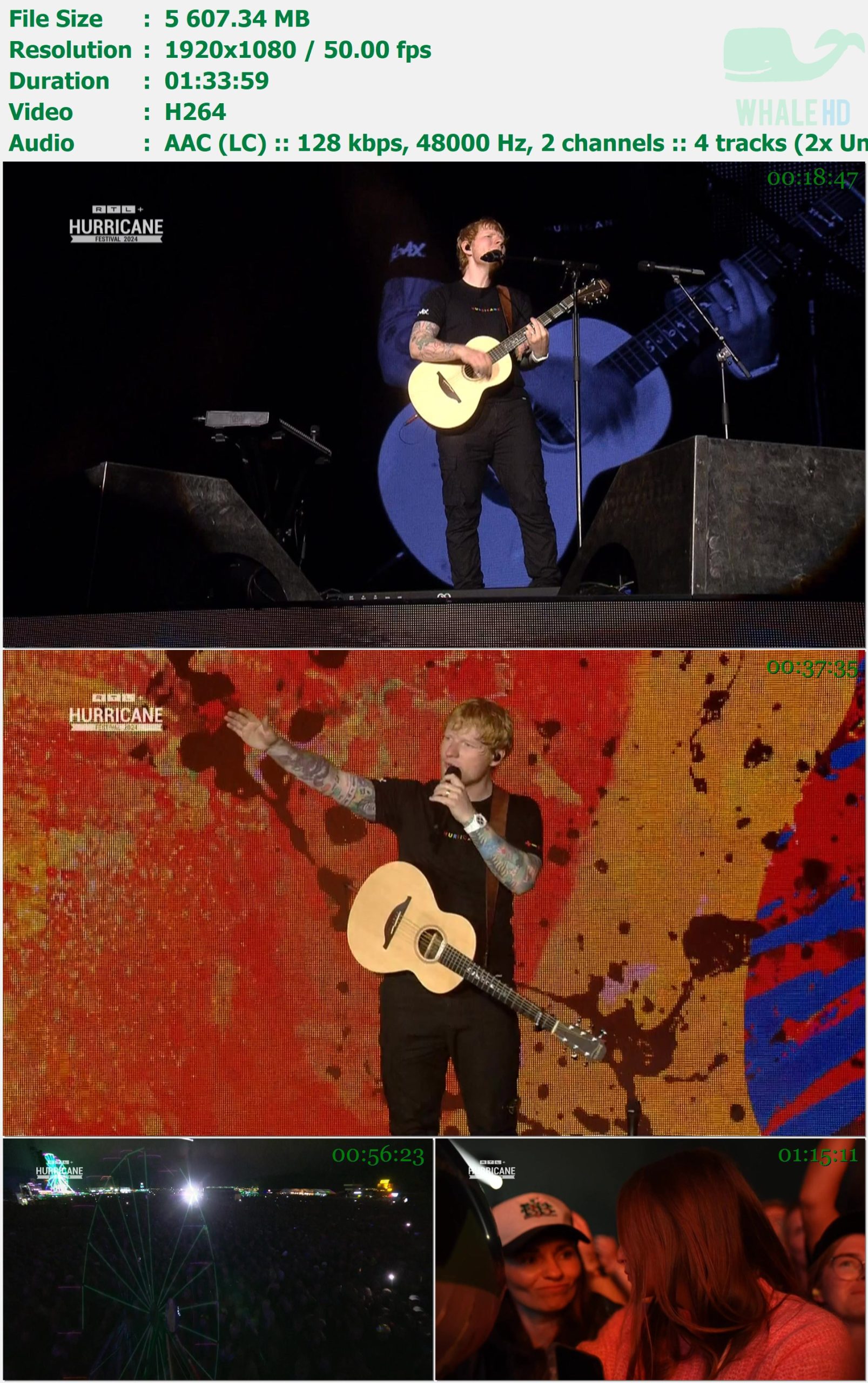 Ed Sheeran - Fan Fest Euro 2024 (Magenta) WEB-DL 1080p H264 - 5.48GB