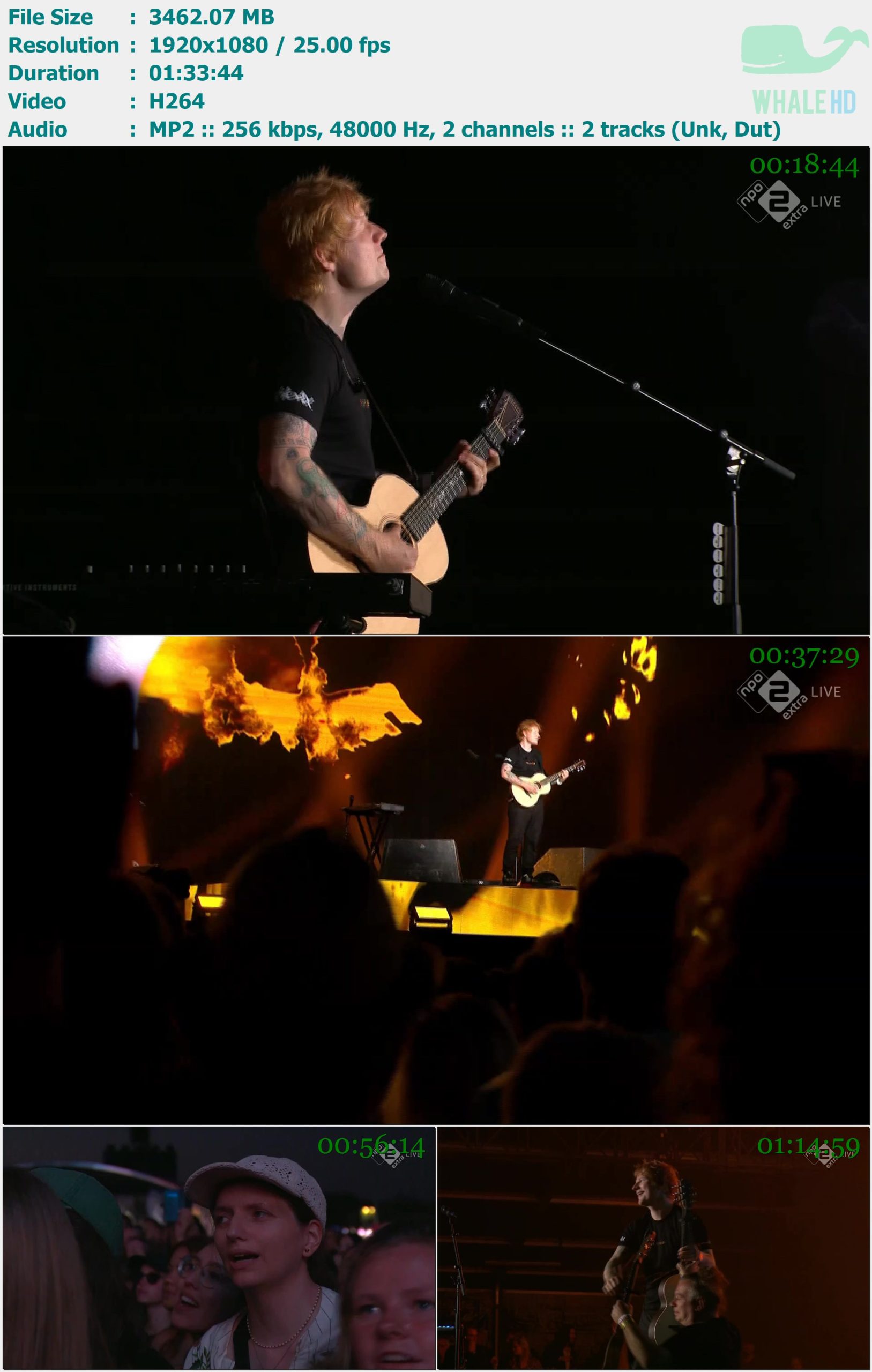 Ed Sheeran - Live @ Pinkpop 2024 HDTV 1080i H264 - 3.38GB