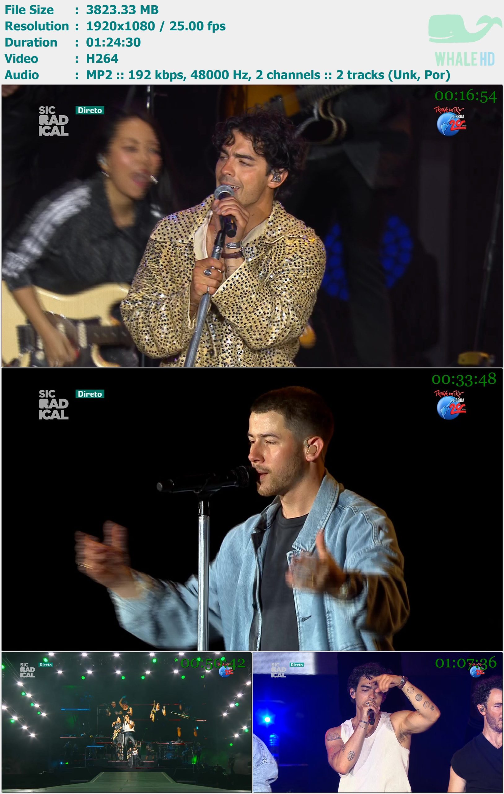 Jonas Brothers - Rock In Rio Lisboa 2024 HDTV 1080i H264 - 3.73GB