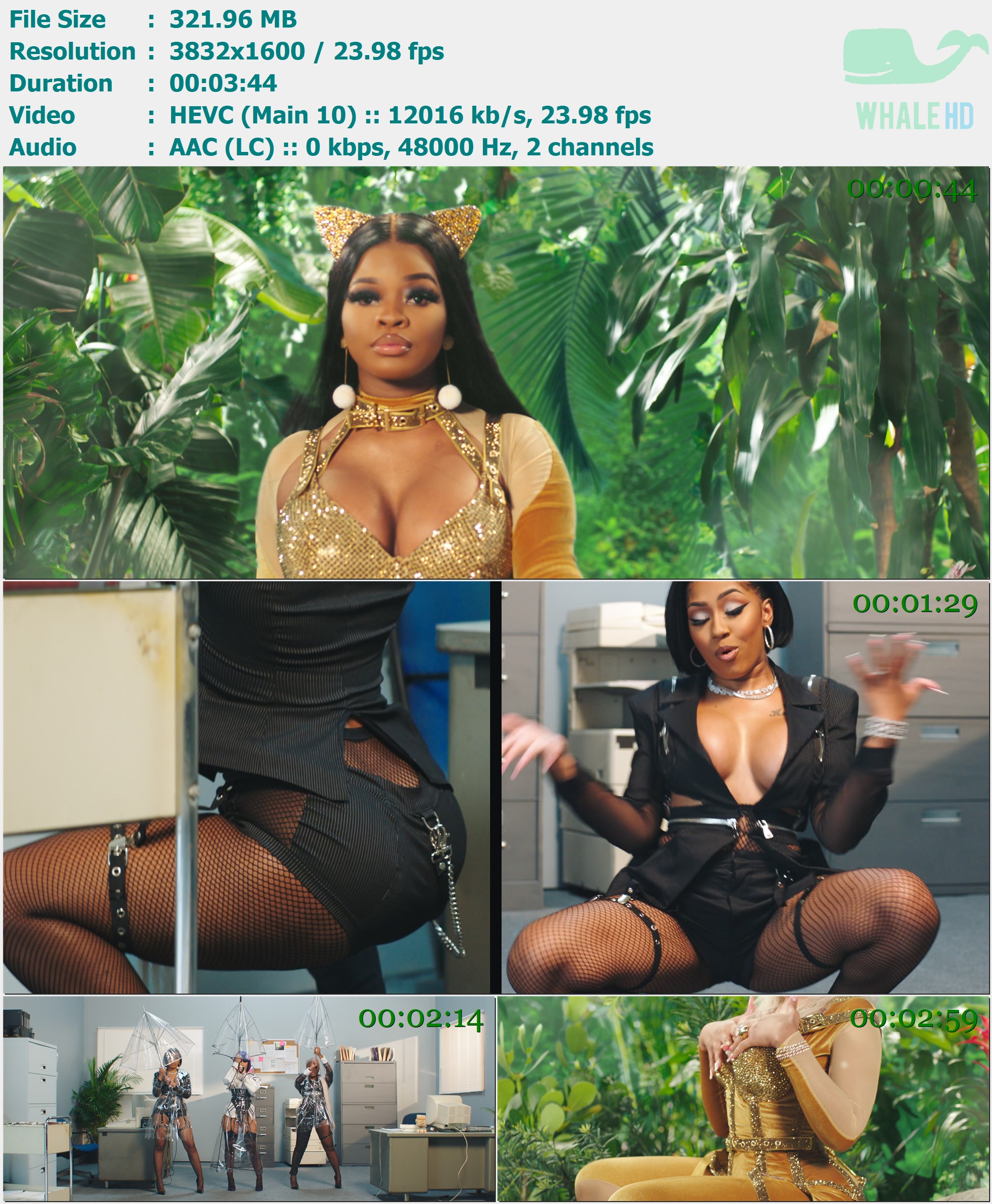 City Girls feat. Doja Cat - Pussy Talk 2020 AM 1600p H265 - 321.96MB