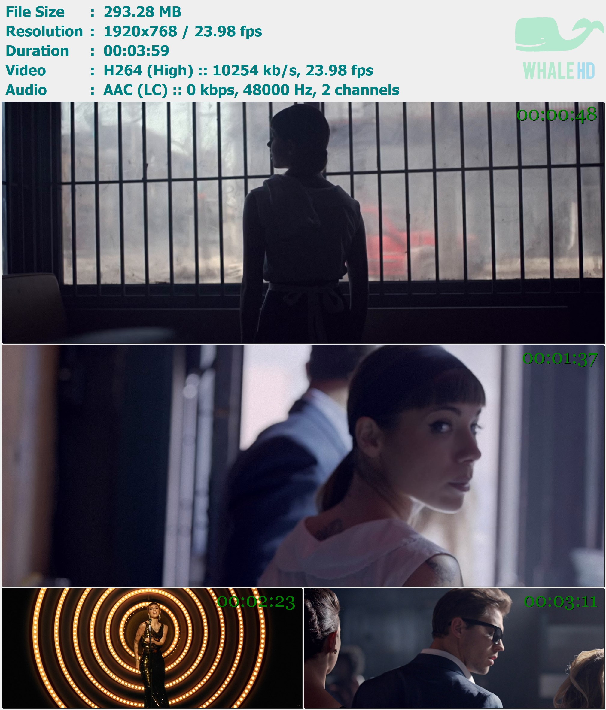 Christina Perri - Burning Gold 2014 AM 1080p H264 - 293.28MB