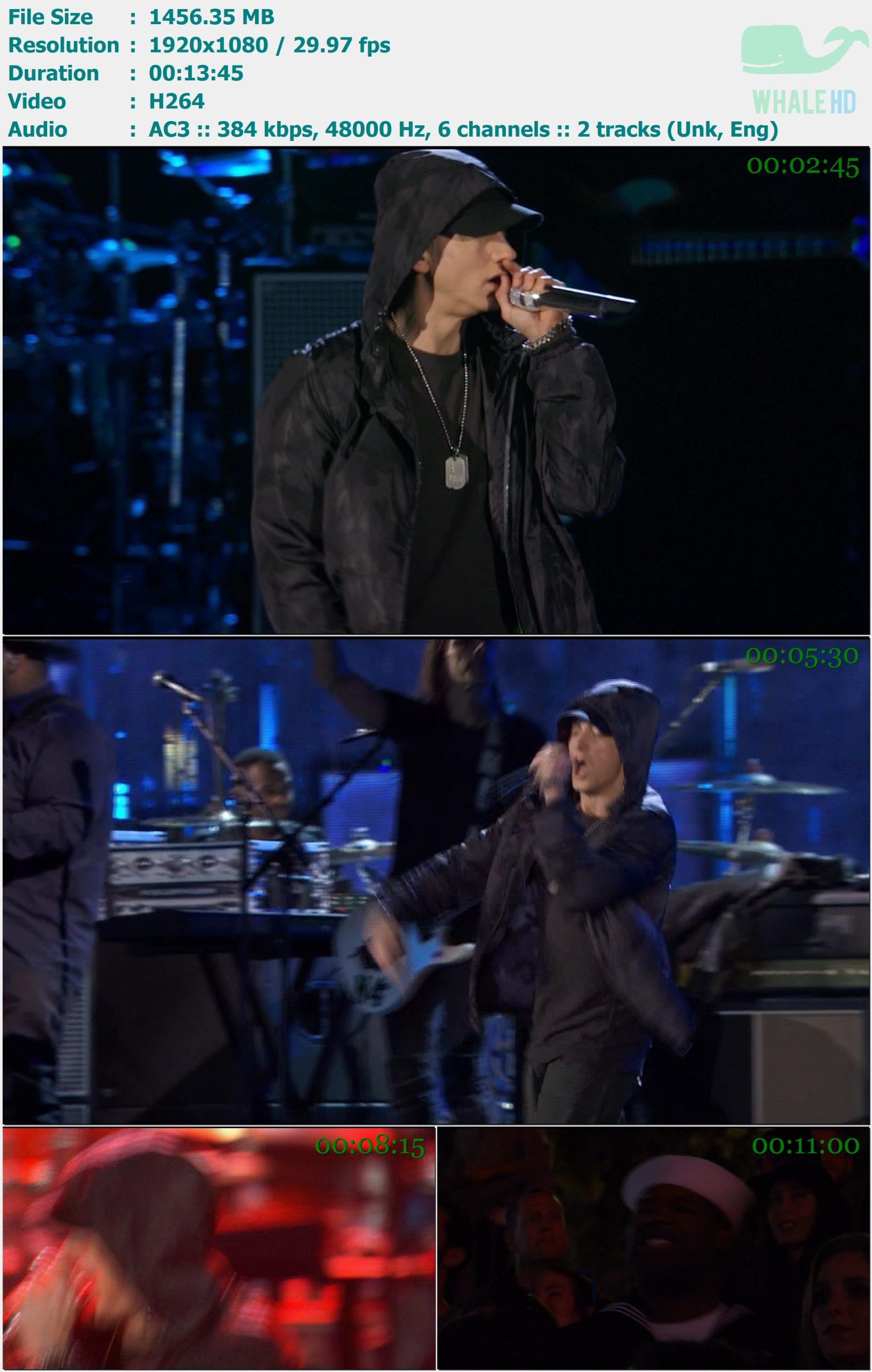 Eminem - The Concert for Valor 2024-11-11-14 HDTV 1080i H264 - 1.42GB