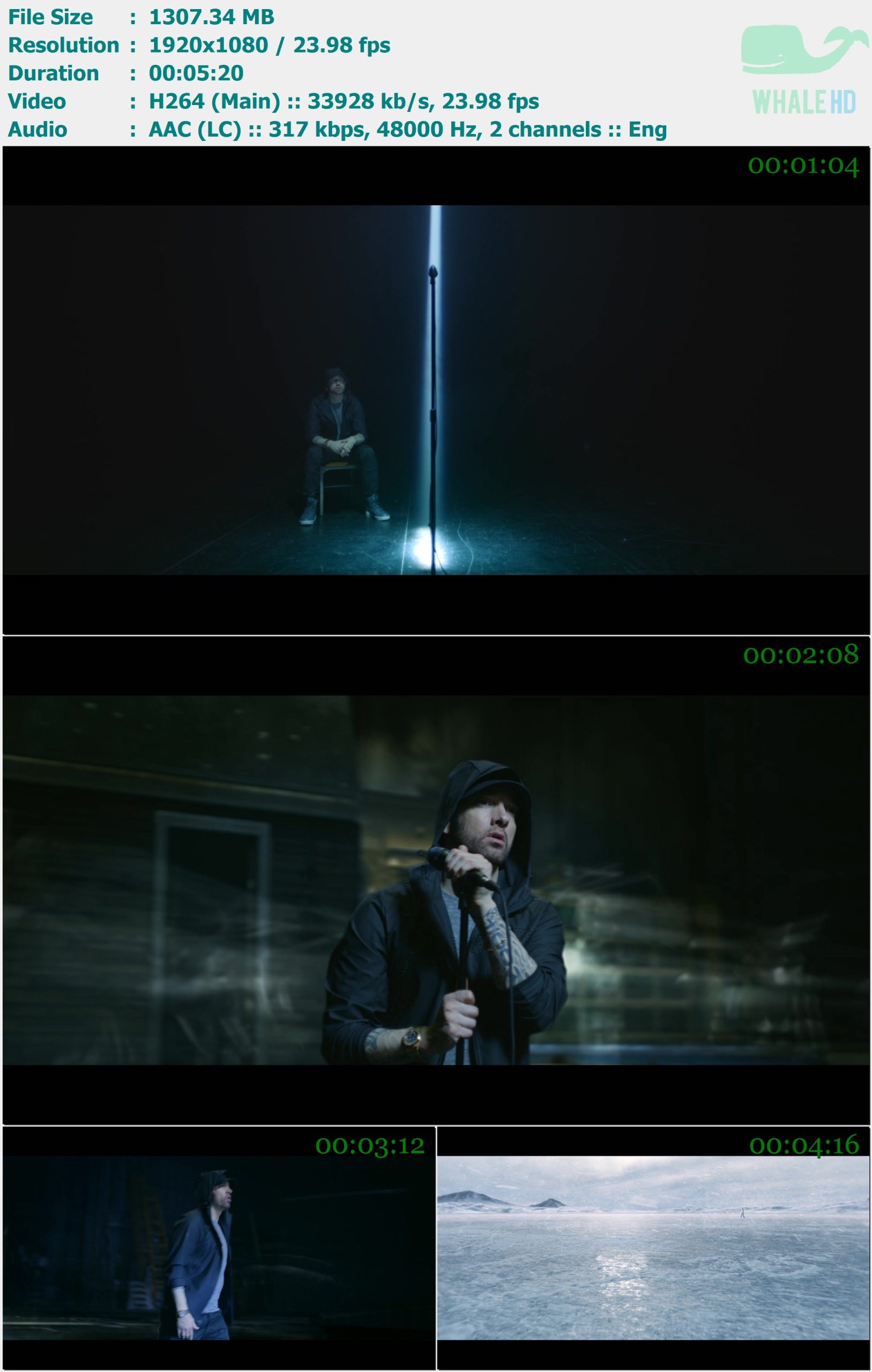 Eminem feat. Beyoncé - Walk On Water 2017 MasterRip 1080p H264 - 1.28GB