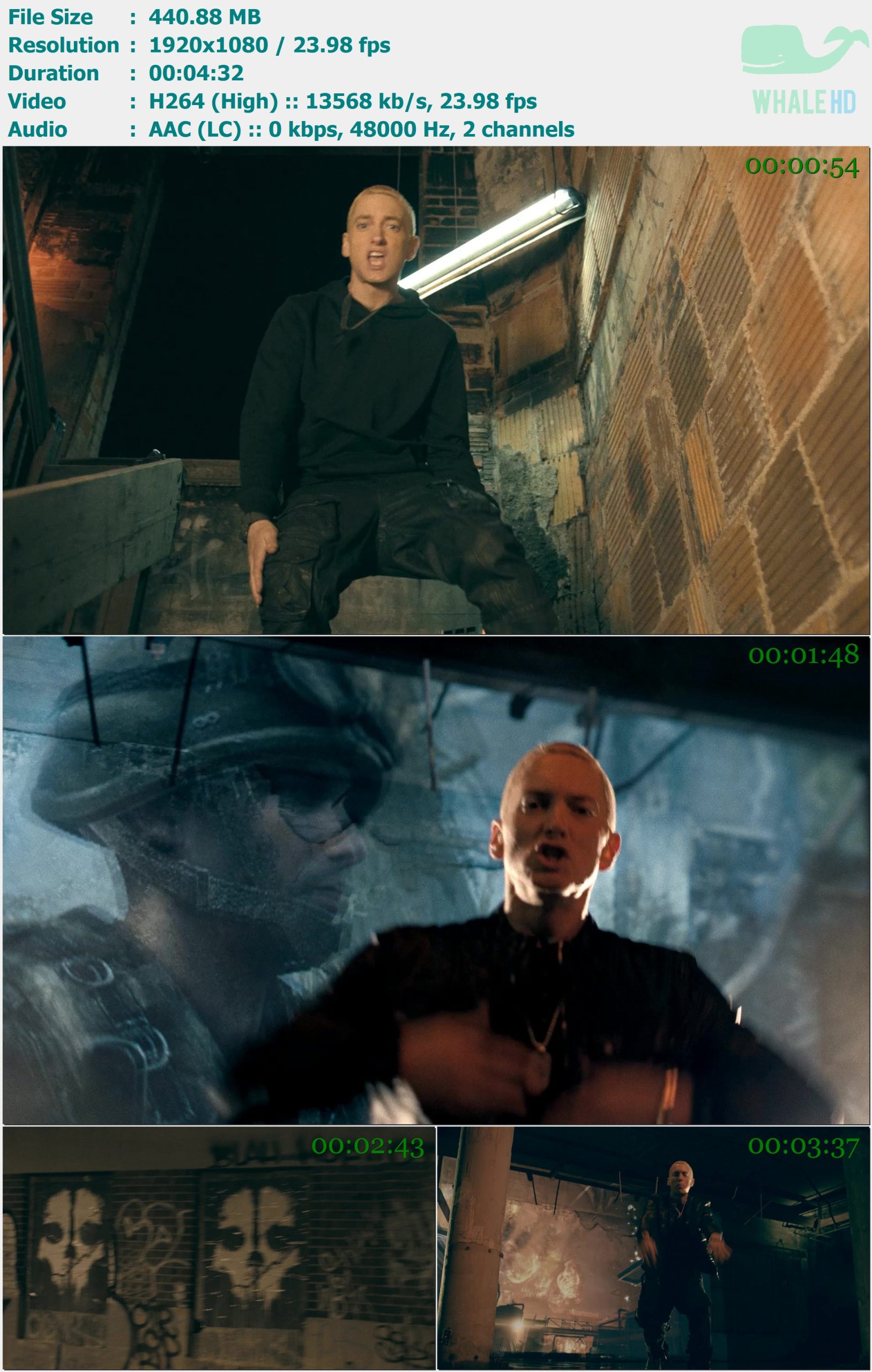 Eminem - Survival 2013 AMAZON 1080p H264 - 440.88MB