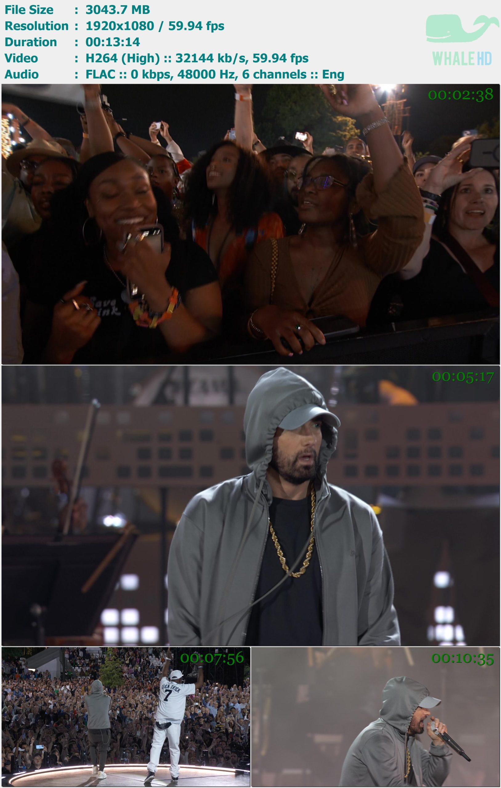 Eminem - Live From Detroit - The Concert at Michigan Central 2024 HDTV 1080i H264 TrollHD - 2.97GB+1.59GB