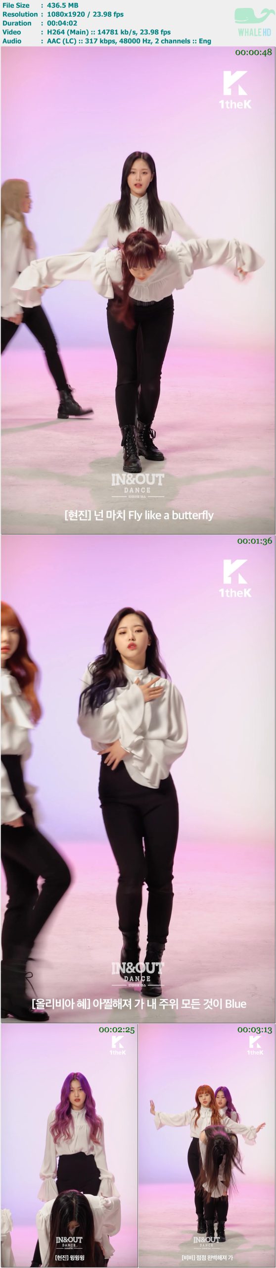 本月少女 (LOONA) - [1theK Original] In&Out Dance Butterfly (Live) 2019 MasterRip 1920p H264 - 436.50MB