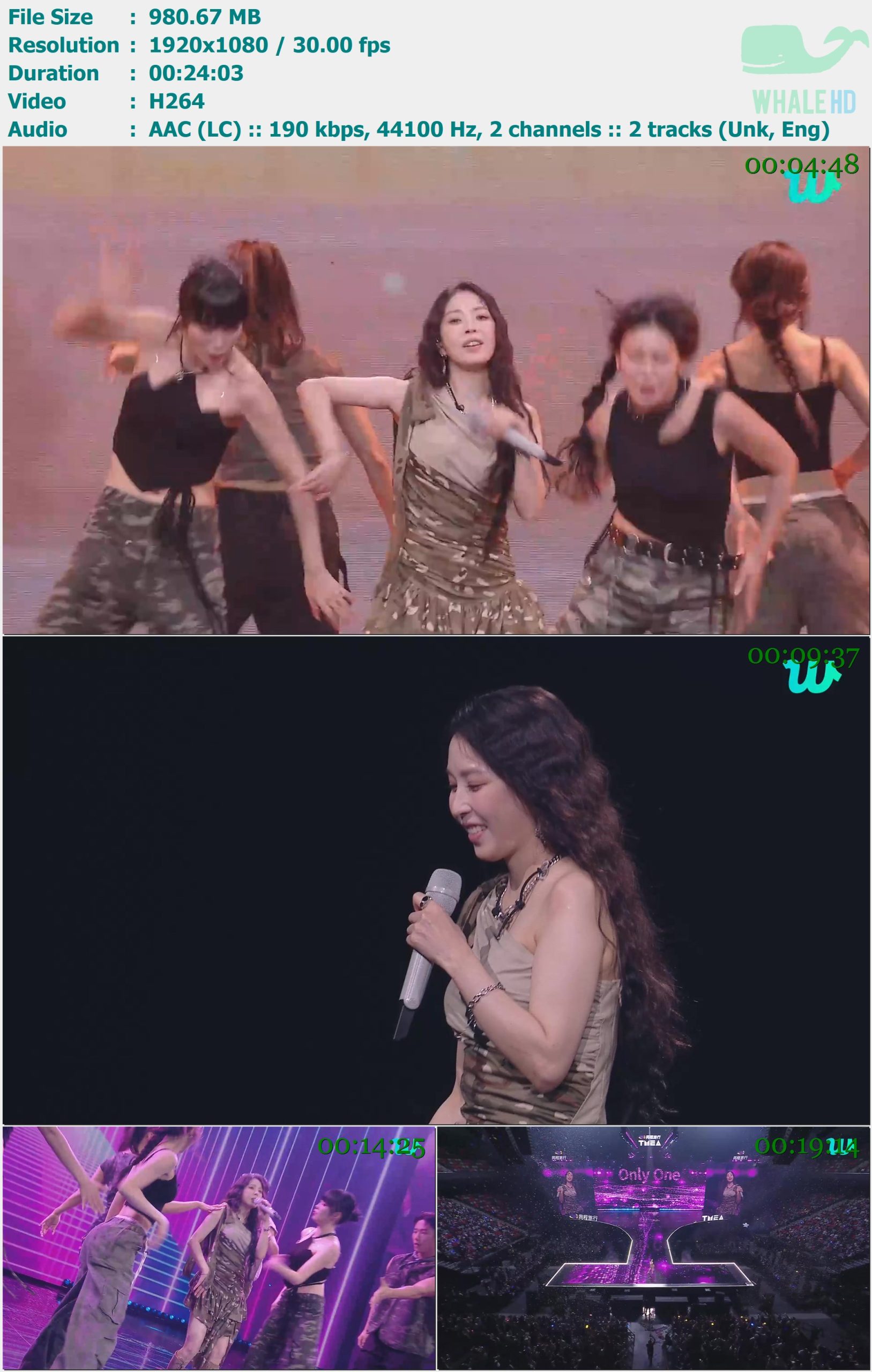 BoA - 2024 TMEA Festival Day 2 weverse 2024.07.20 WEB-DL 1080p H264