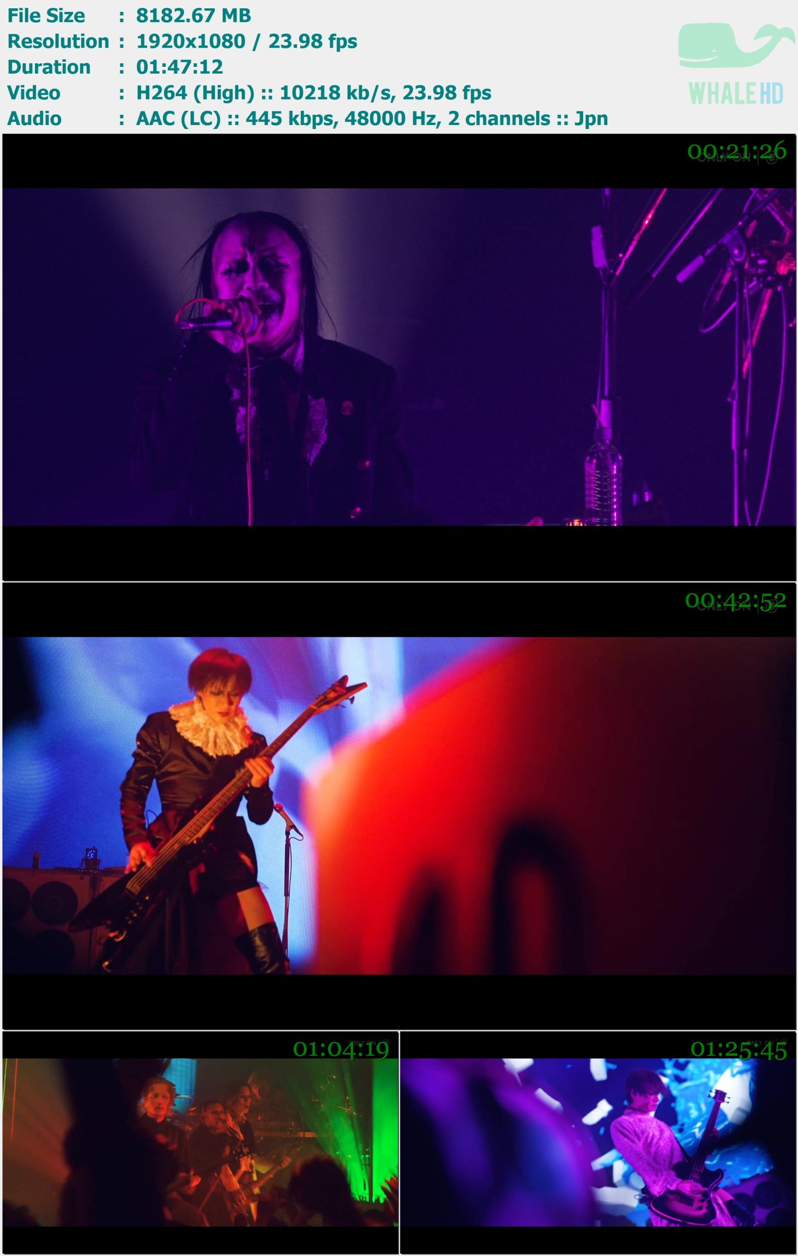 DIR EN GREY - TOUR24 PSYCHONNECT 2024 WEB-DL 1080p H264 - 7.99GB