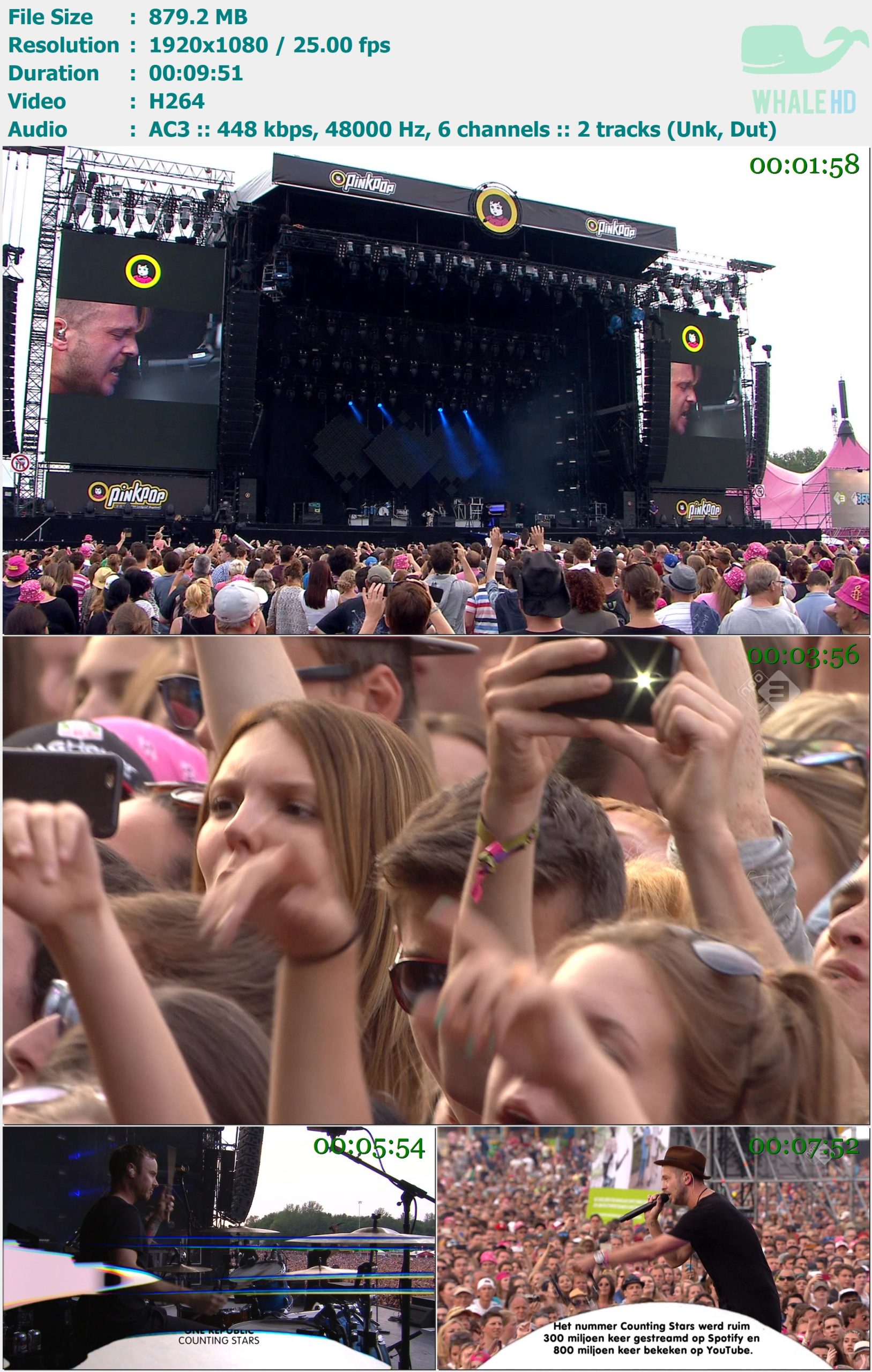 OneRepublic - Apologize & Counting Stars (Live @ Pinkpop 2015) HDTV 1080i H264 - 879.20MB