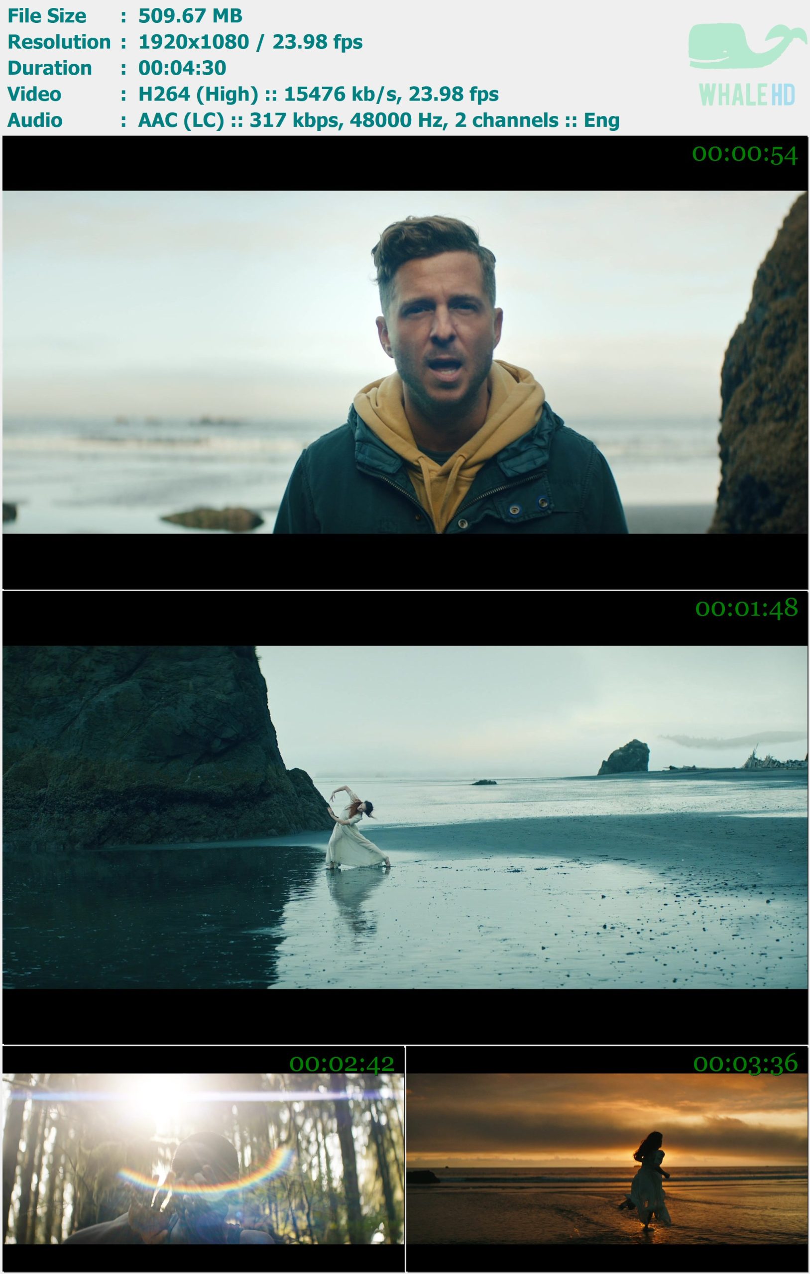 OneRepublic - Wild Life 2020 MasterRip 1080p H264 - 509.67MB