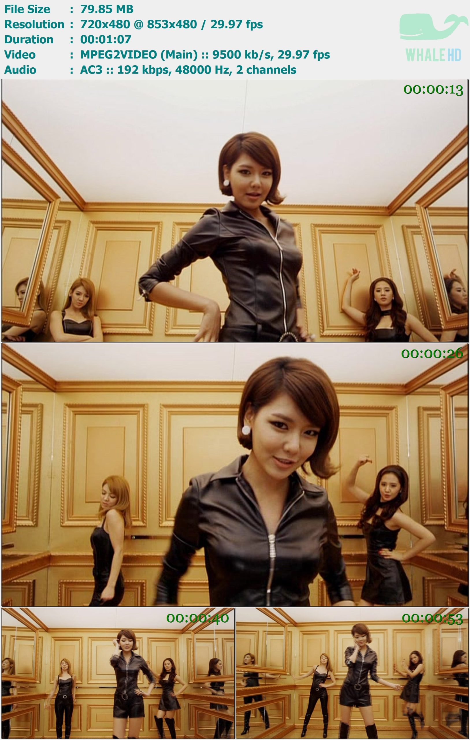 少女时代 Girls' Generation - Hoot (Sooyoung) 2010 DVD 480i MPEG2 - 79.85MB