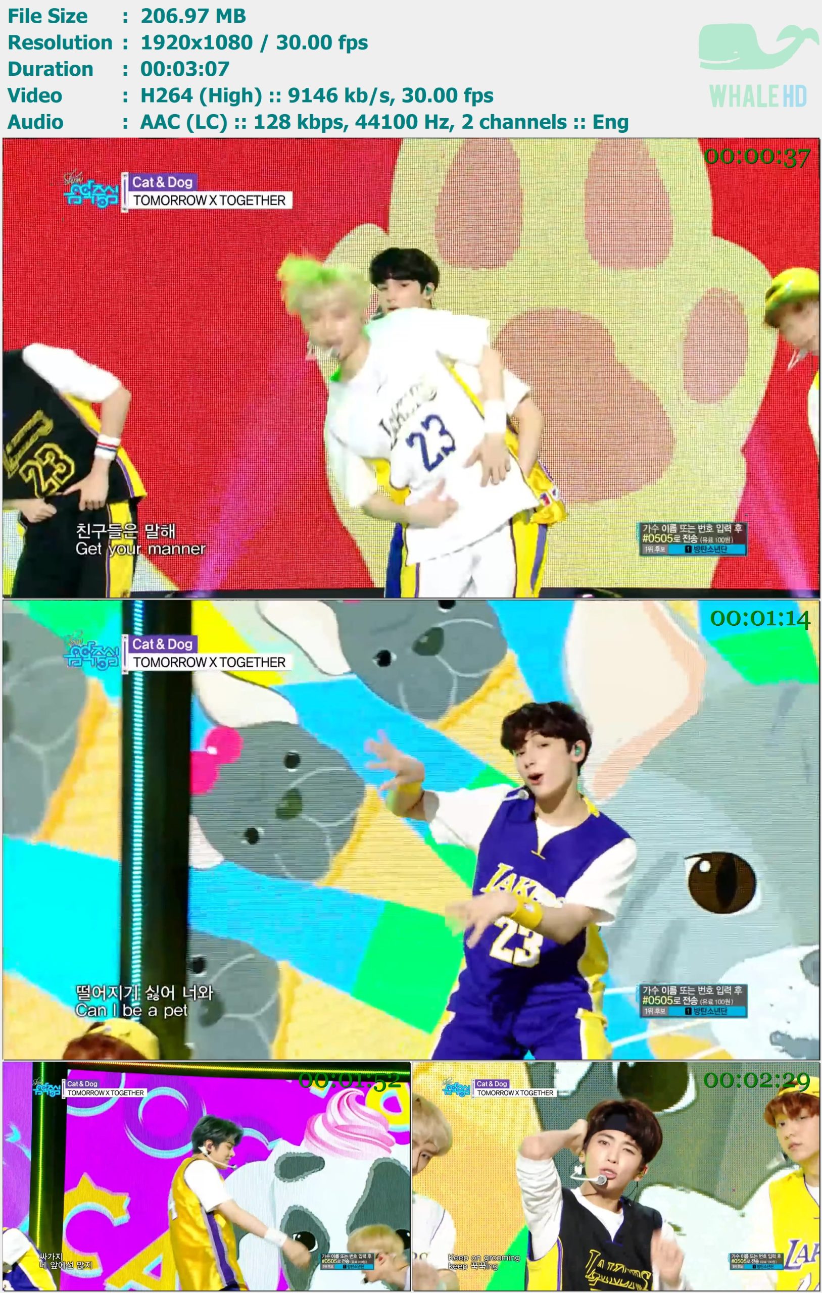 TOMORROW X TOGETHER (TXT) - Cat & Dog (Live at Show! Music Core 音乐中心 2019-04-27) HDTV 1080p H264 - 206.97MB