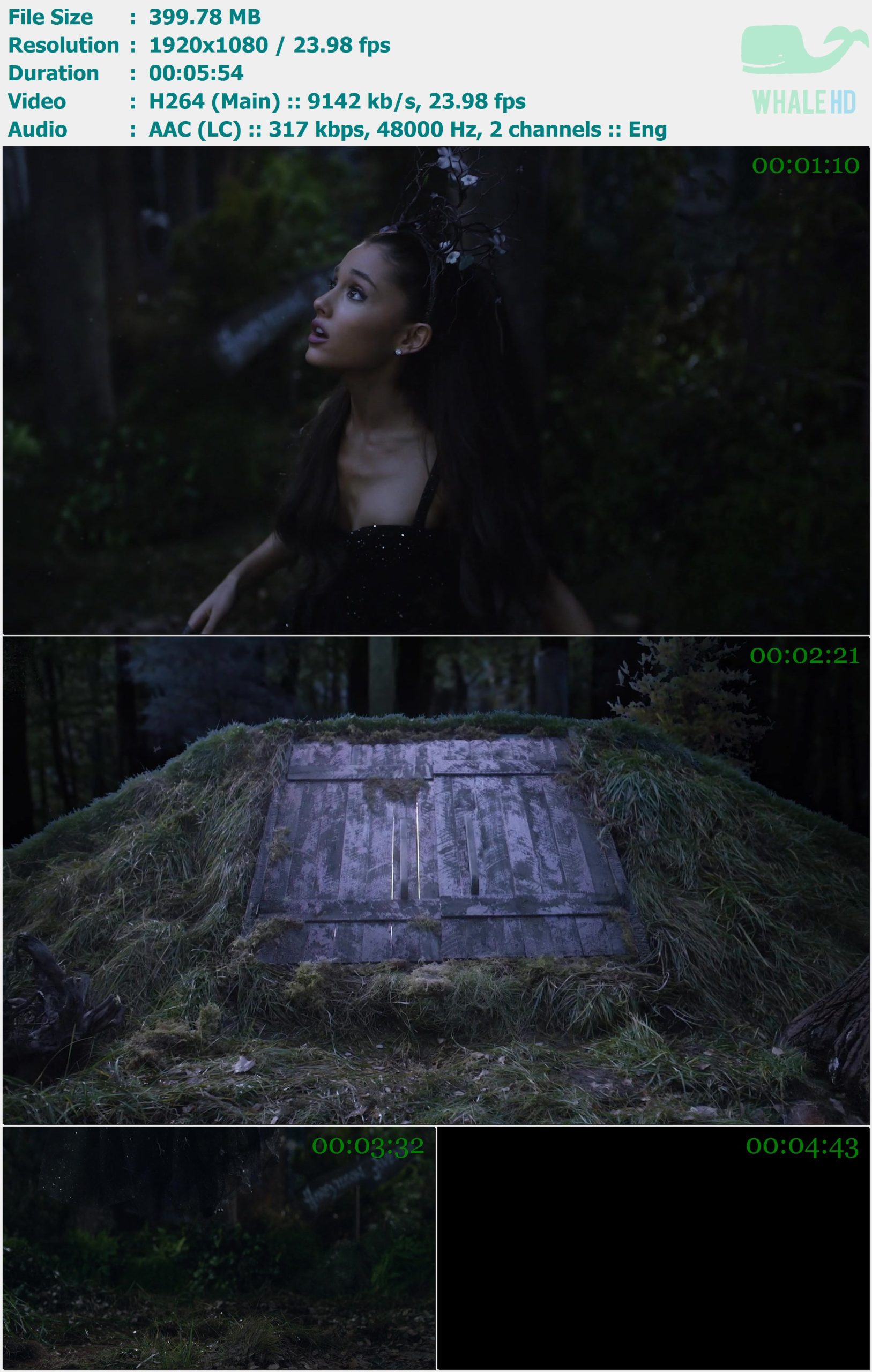 Ariana Grande - Honeymoon Tour Visuals 2013 MasterRip 1080p H264 - 399.78MB