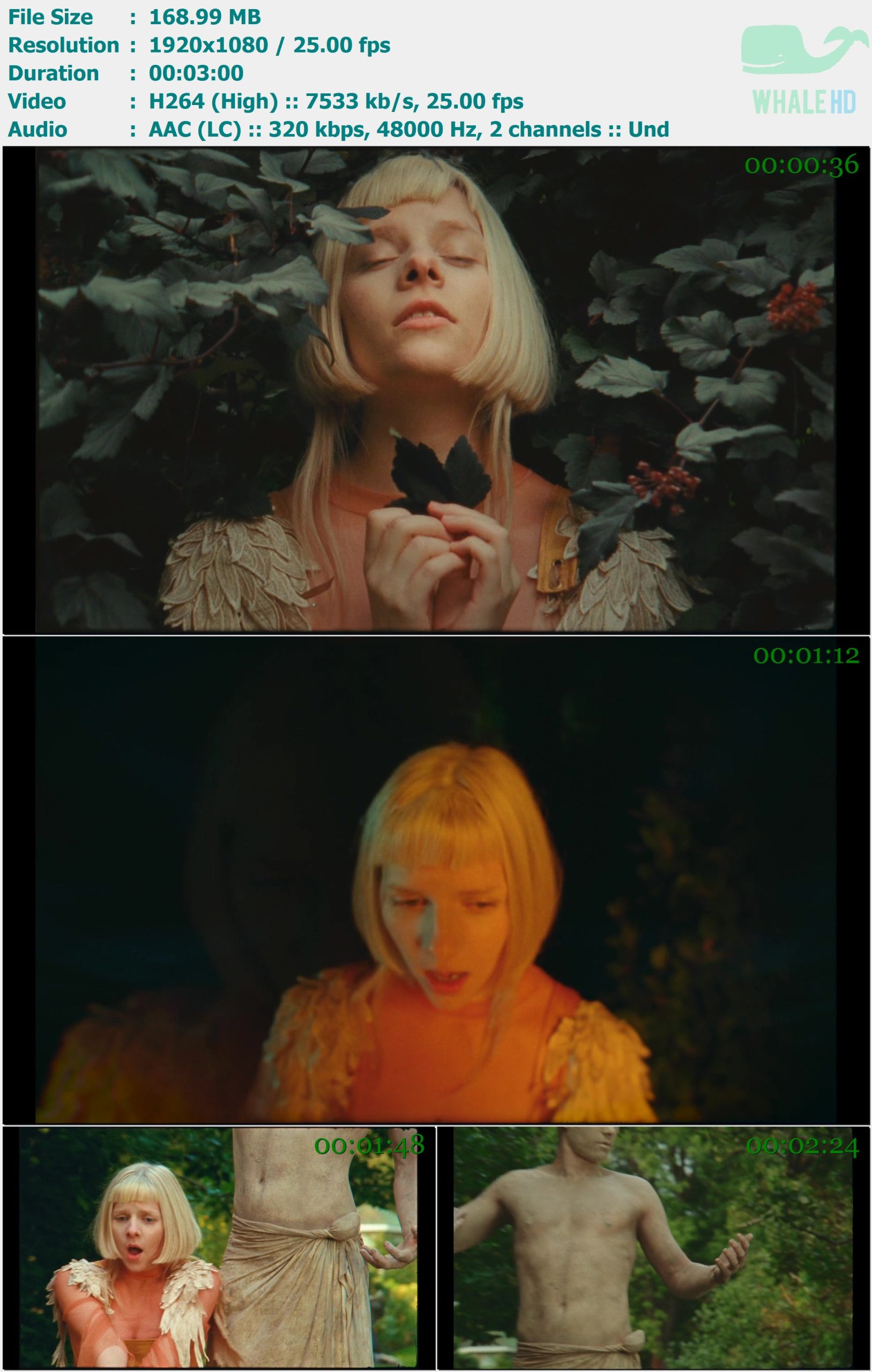 AURORA - Giving In To The Love 2022 𝐓𝐢𝐝𝐚𝐥 1080p H264 - 168.99MB