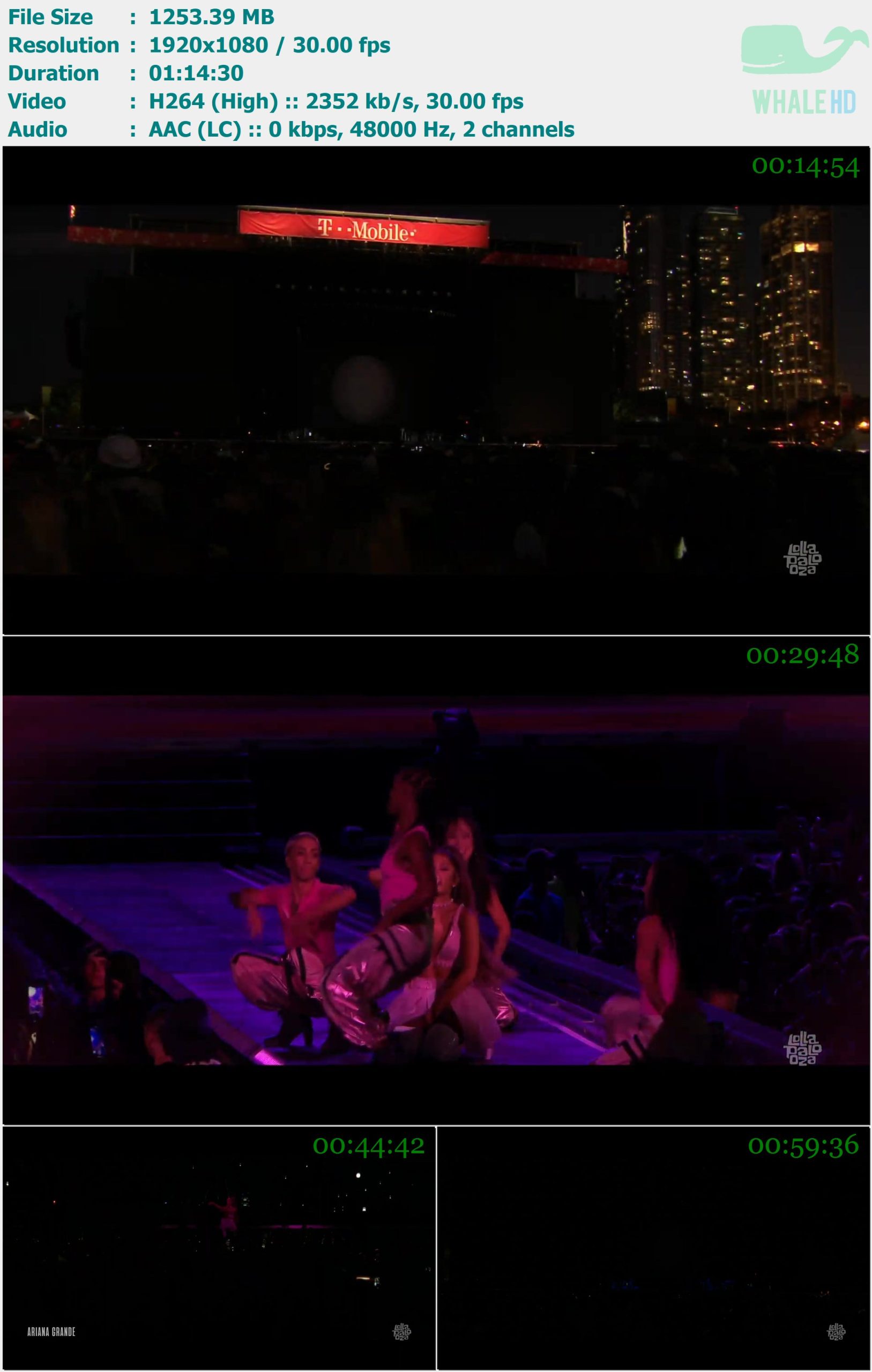 Ariana Grande - Live At Lollapalooza 2019 WEB-DL 1080p H264 - 1.22GB