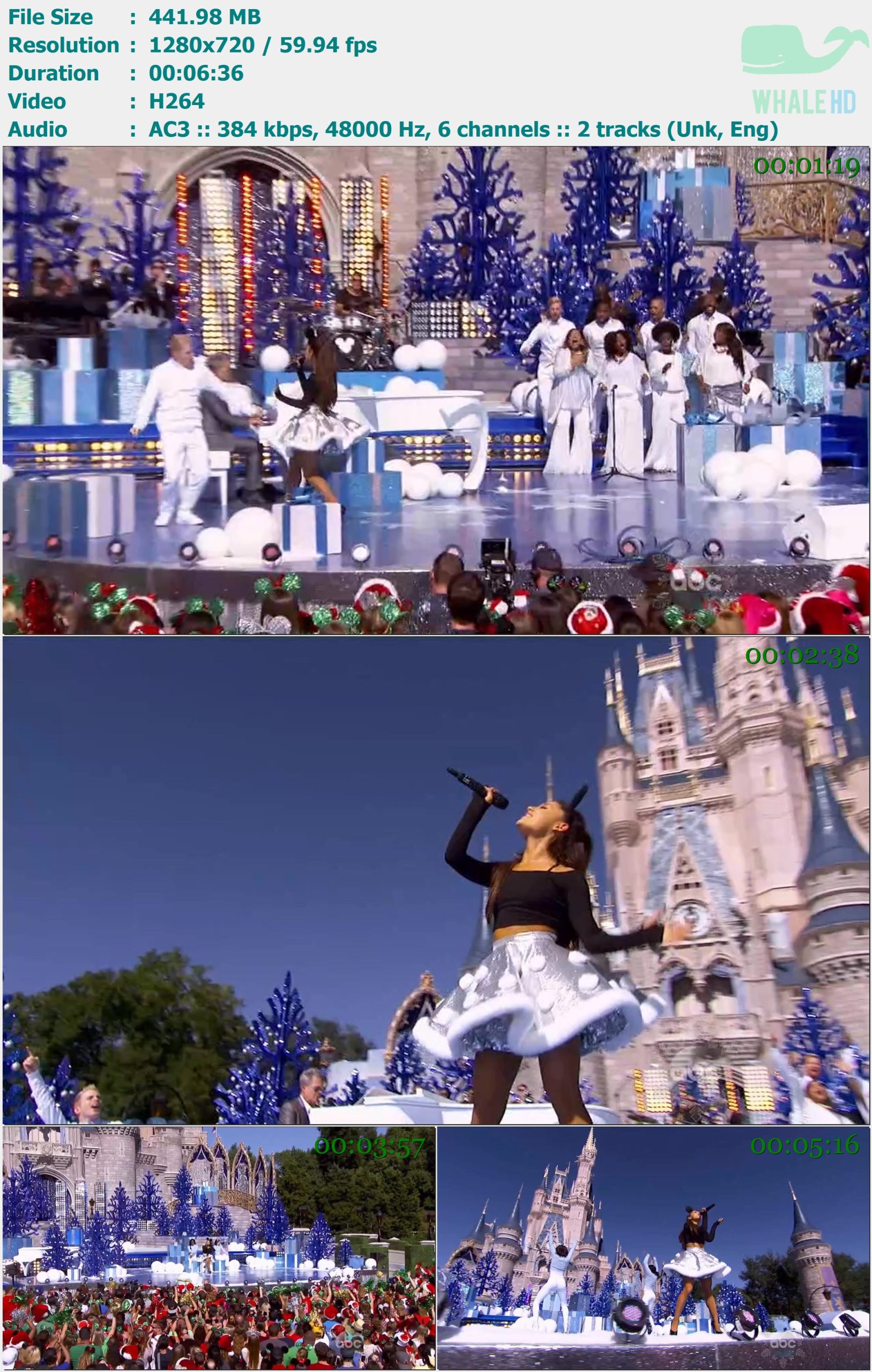 Ariana Grande - Disney Parks - Unforgettable Christmas Celebration 2015 HDTV 720p H264 - 441.98MB