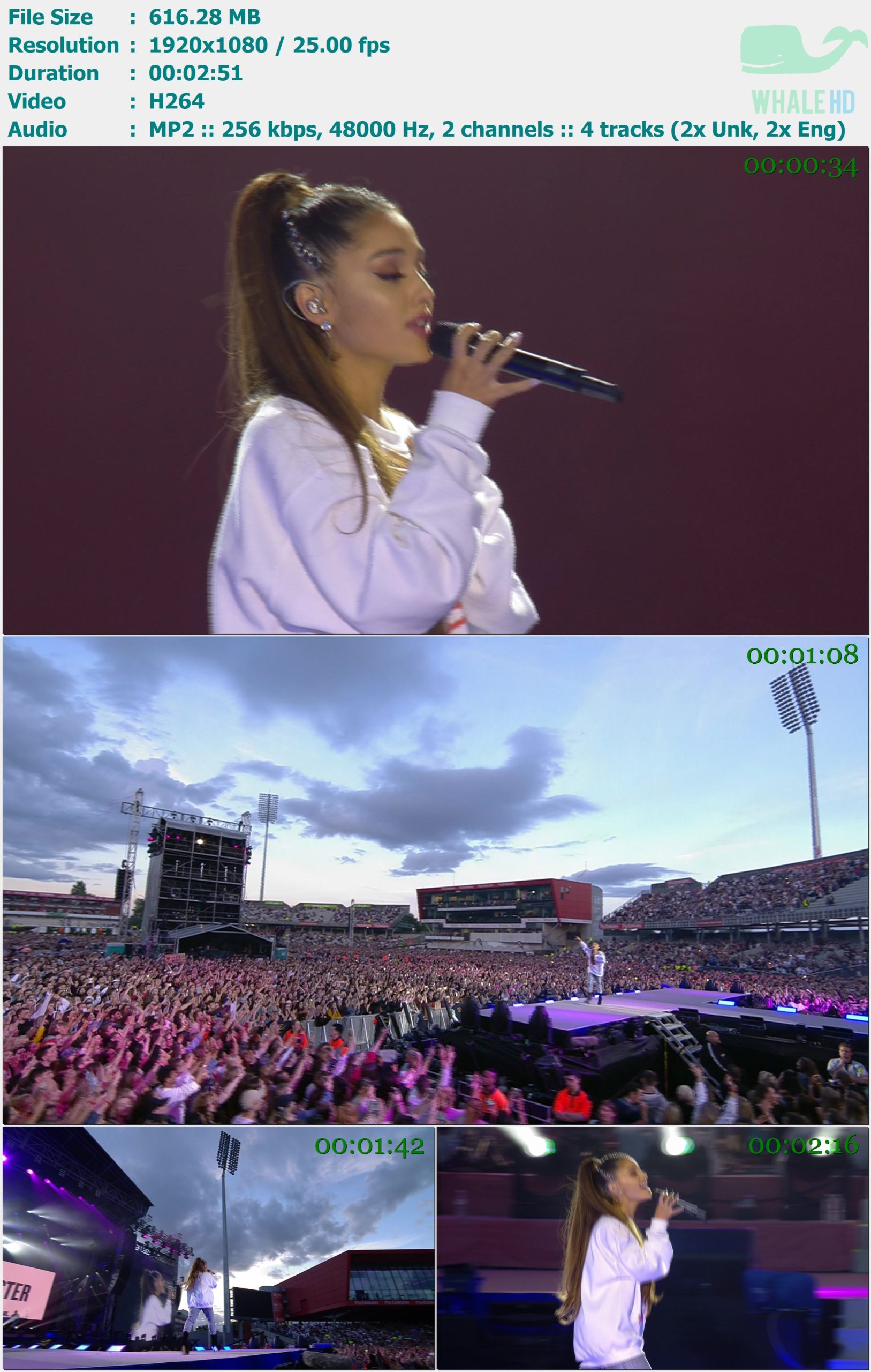 Ariana Grande - Love Me Harder (One Love Manchester.jun 04, 2017) FEED 1080i H264 - 616.28MB