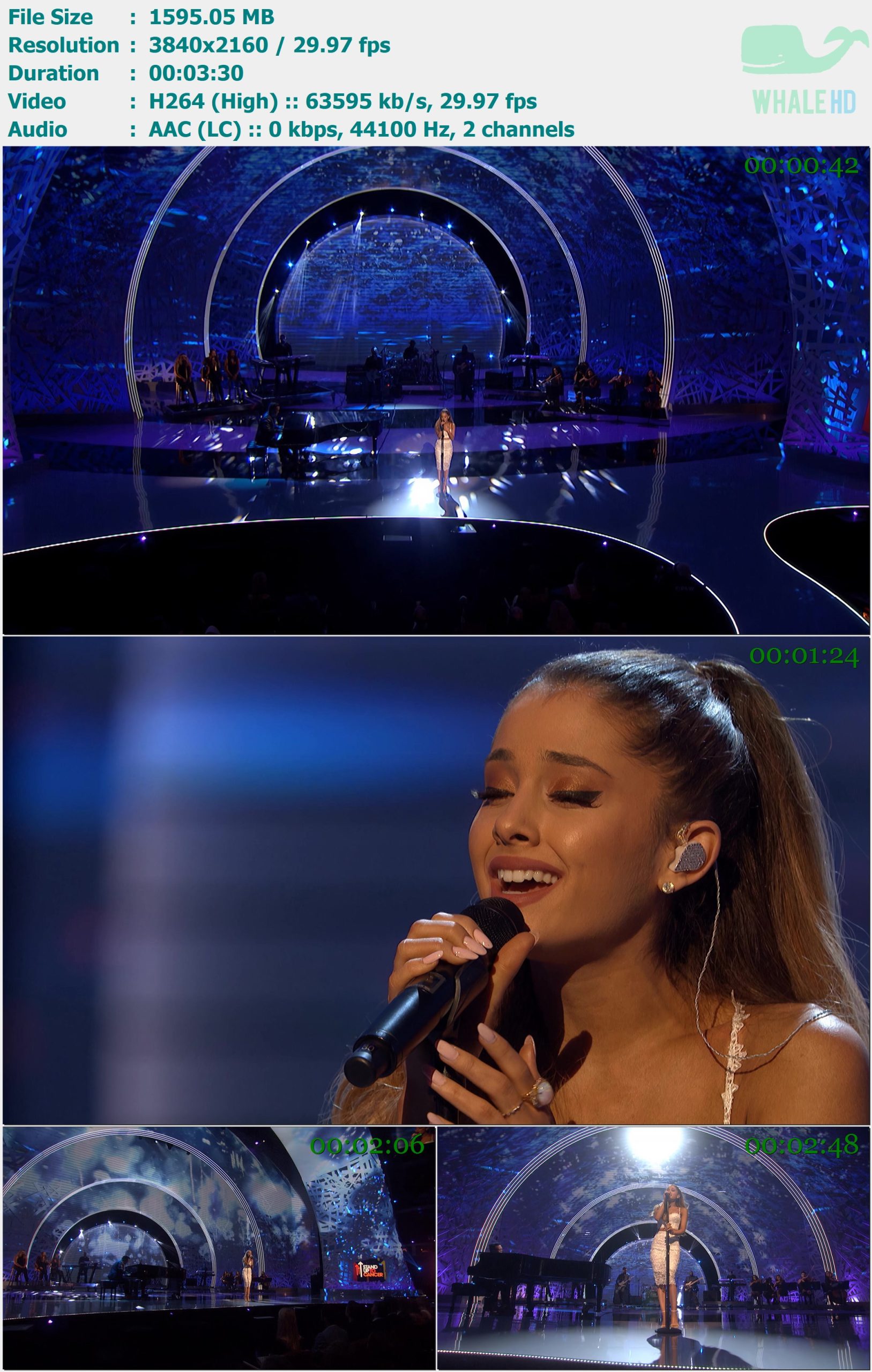 Ariana Grande - My Everything (Stand Up 2 Cancer 2014) MasterRip 2160p H264 - 1.56GB