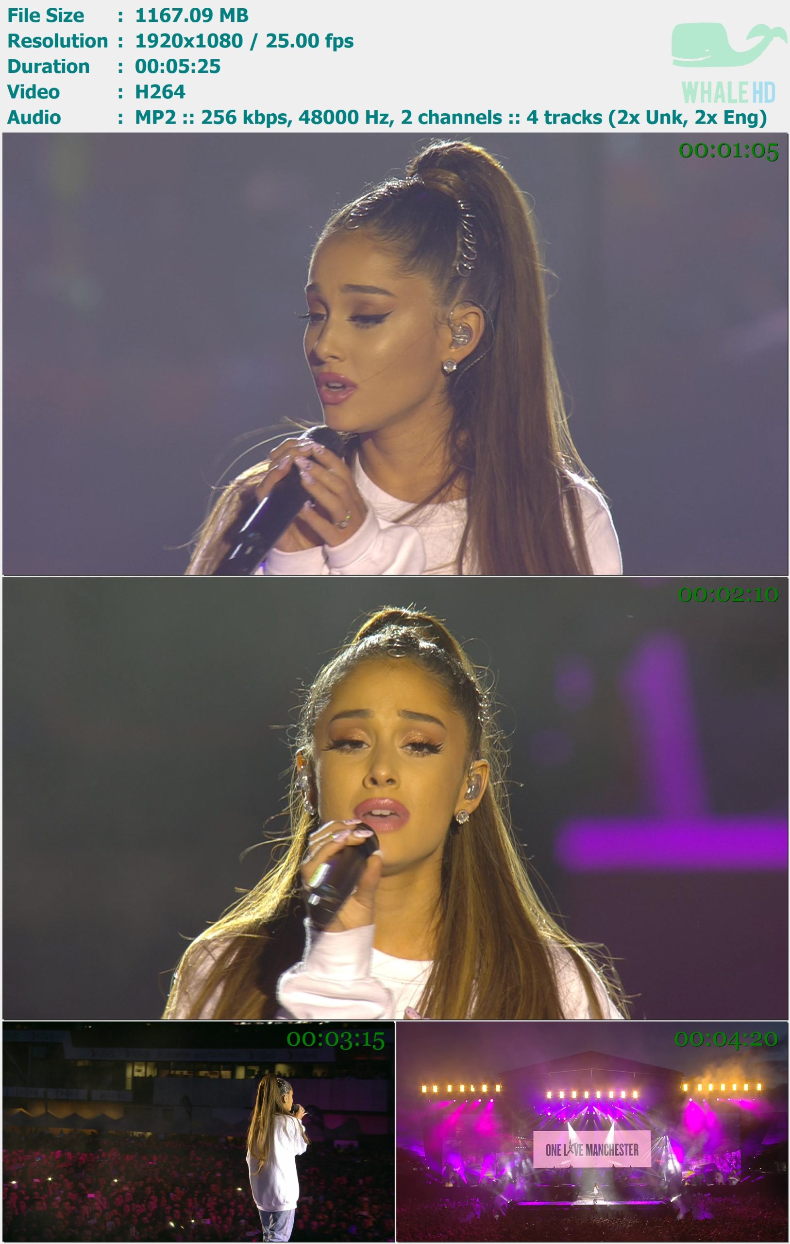 Ariana Grande - Somewhere Over the Rainbow (One Love Manchester.jun 04, 2017) FEED 1080i H264 - 1.14GB