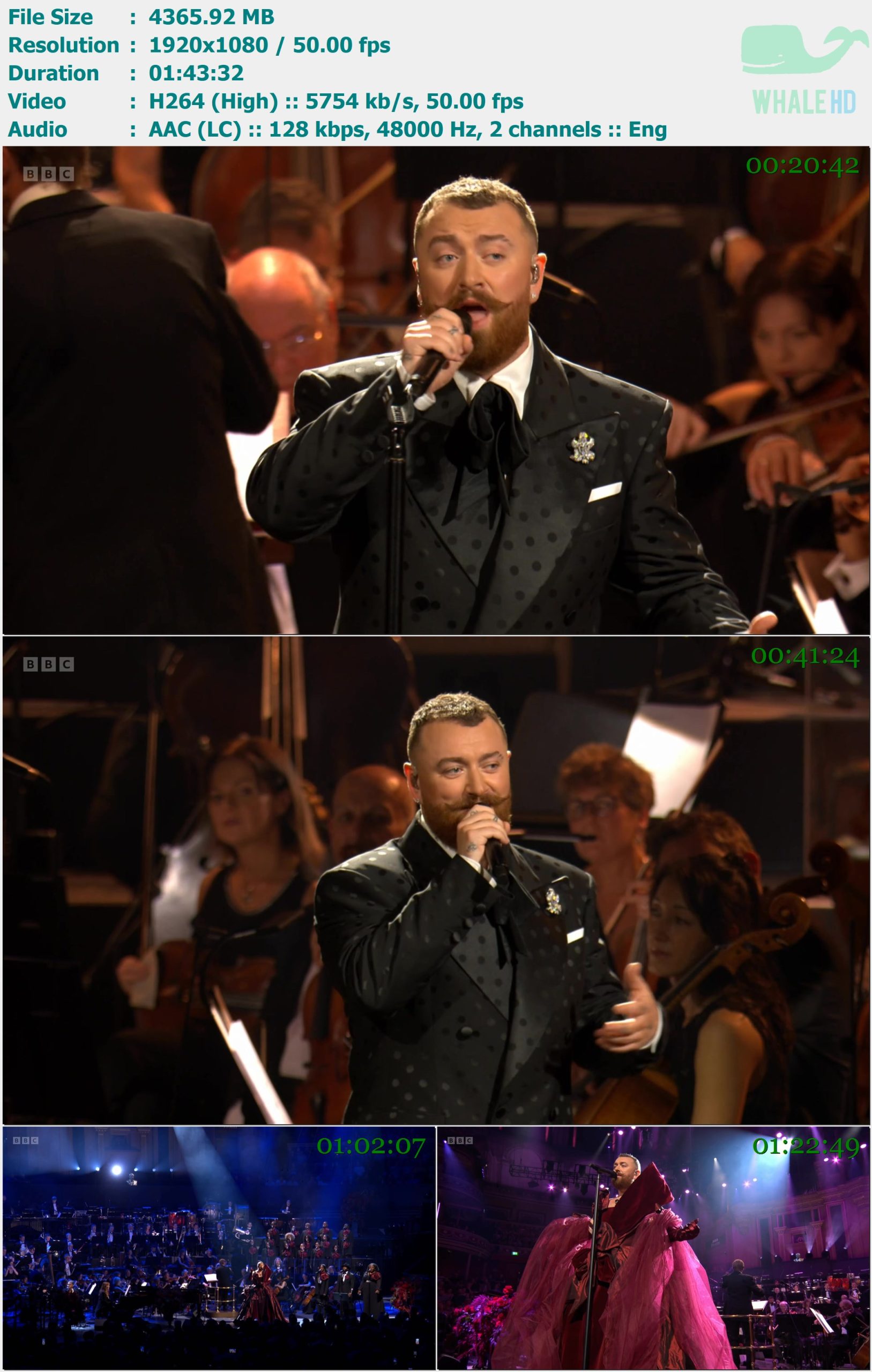 Sam Smith at the Proms (Royal Albert Hall, London, England on August 2, 2024) WEB-DL+HDTV 1080p H264 - 4.26GB+3.21GB