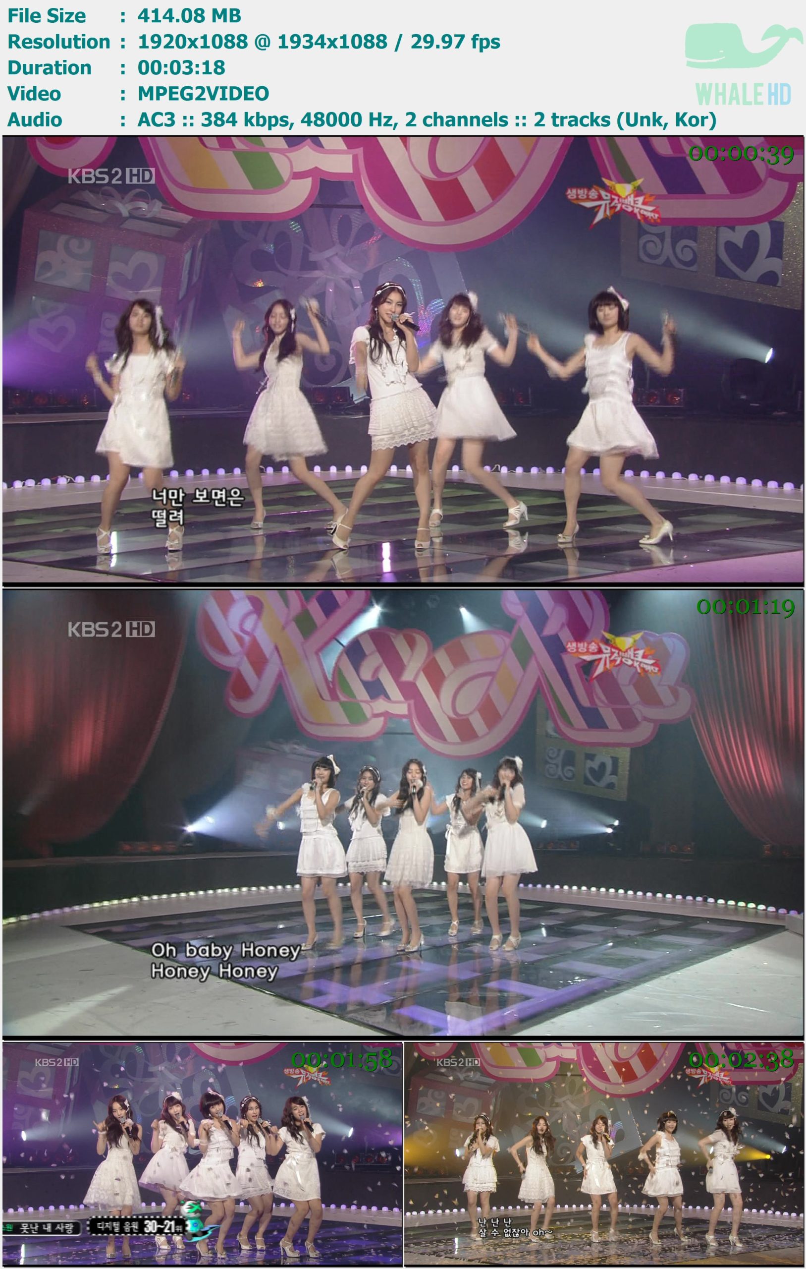 Kara - Honey (KBS Music Bank 音乐银行 2009-02-13) HDTV 1080i MPEG2  - 414.08MB