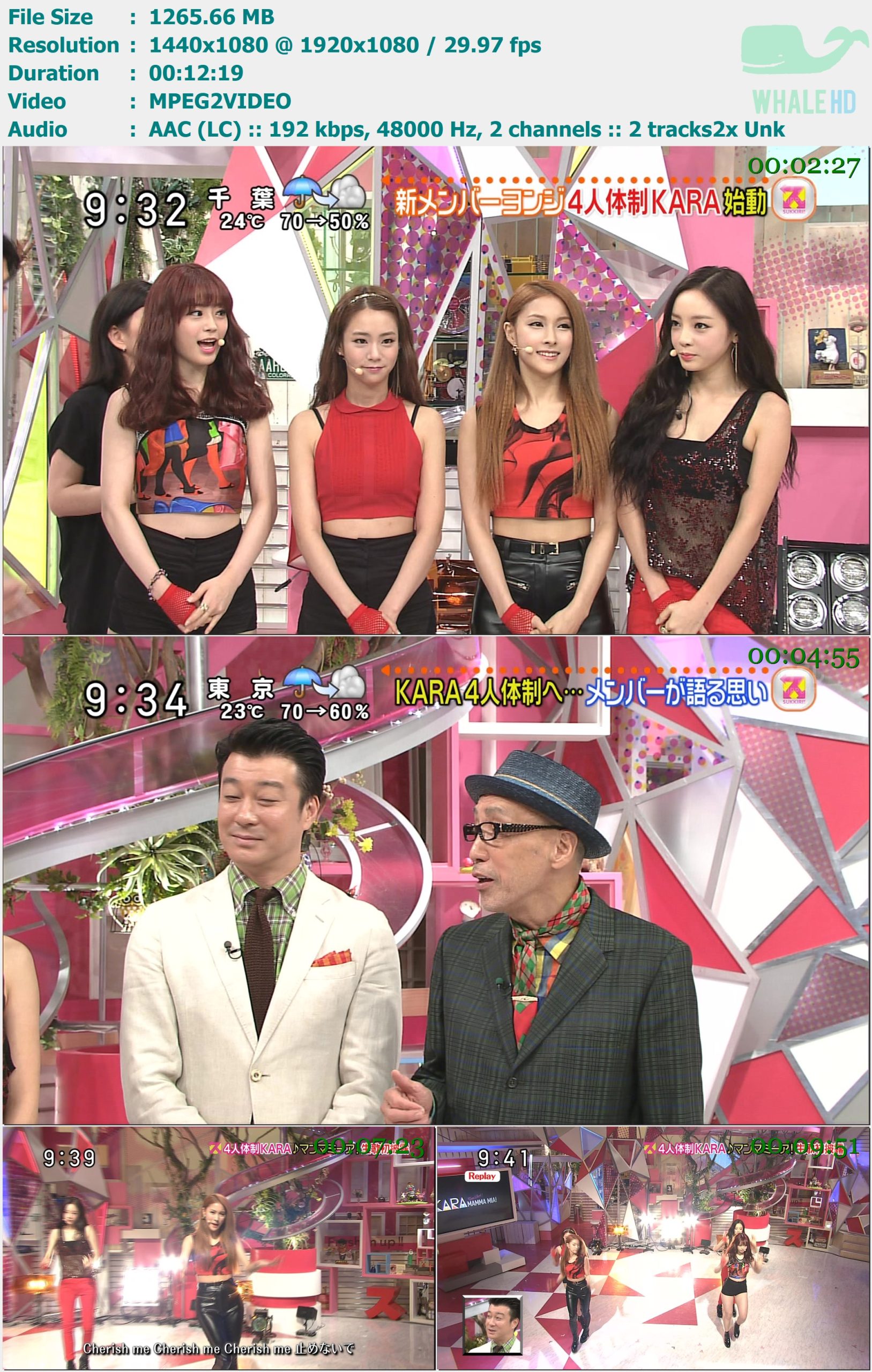 KARA - Talk + Mamma Mia! (Sukkiri 2014-08-28) HDTV 1080i MPEG2 - 1.24GB