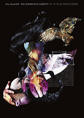 the GazettE - THE NAMELESS LIBERTY AT 10.12.26 TOKYO DOME 2011 BD蓝光原盘 1080i H264 - 41.60GB