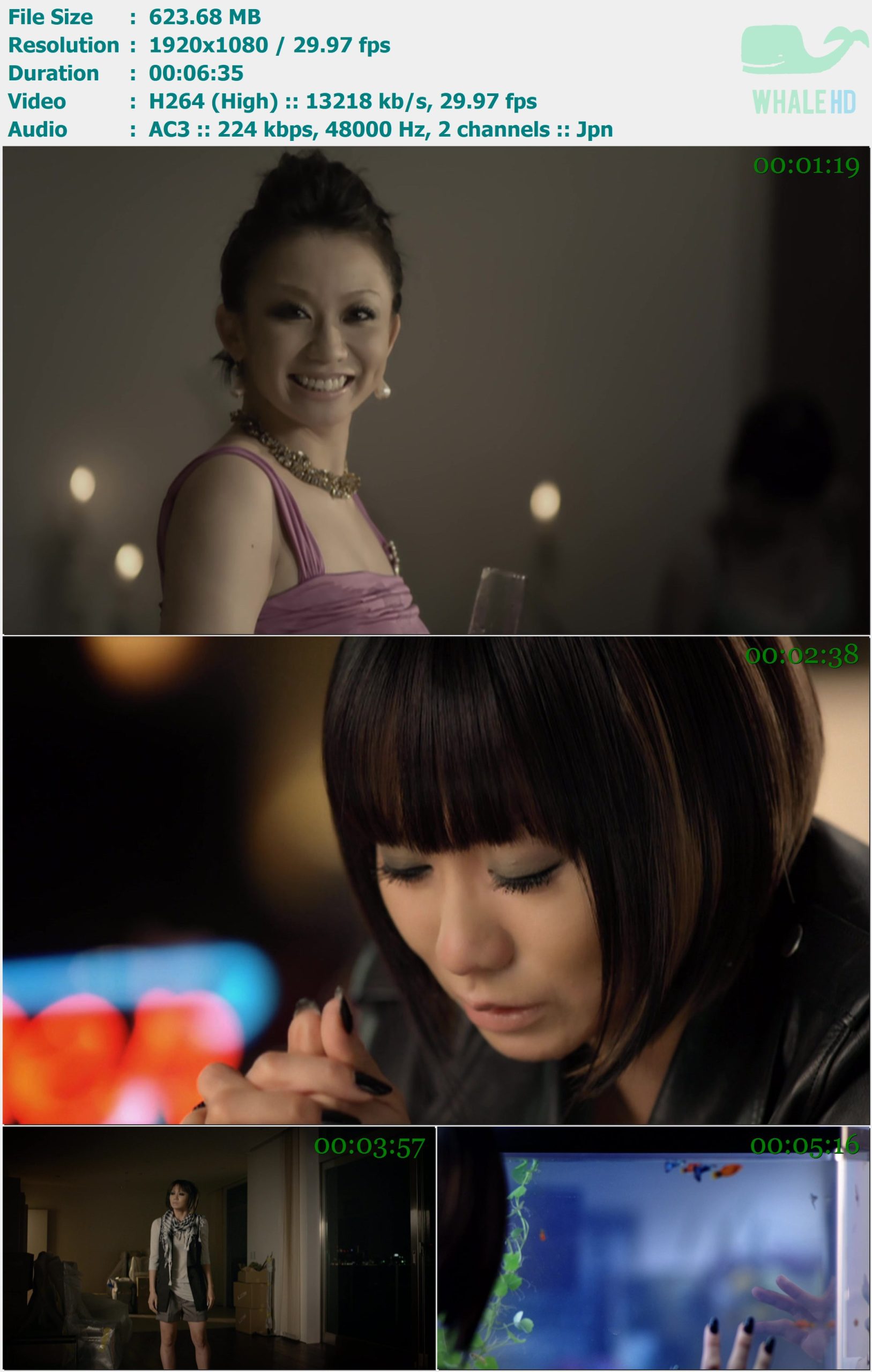 倖田来未 Koda Kumi - Moon Crying 2008 BDRip 1080p X264 - 623.68MB