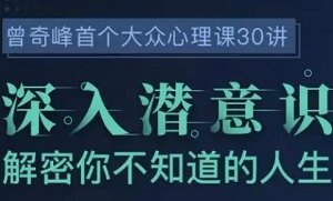 曾奇峰的30堂心理课视频课程阿里云盘