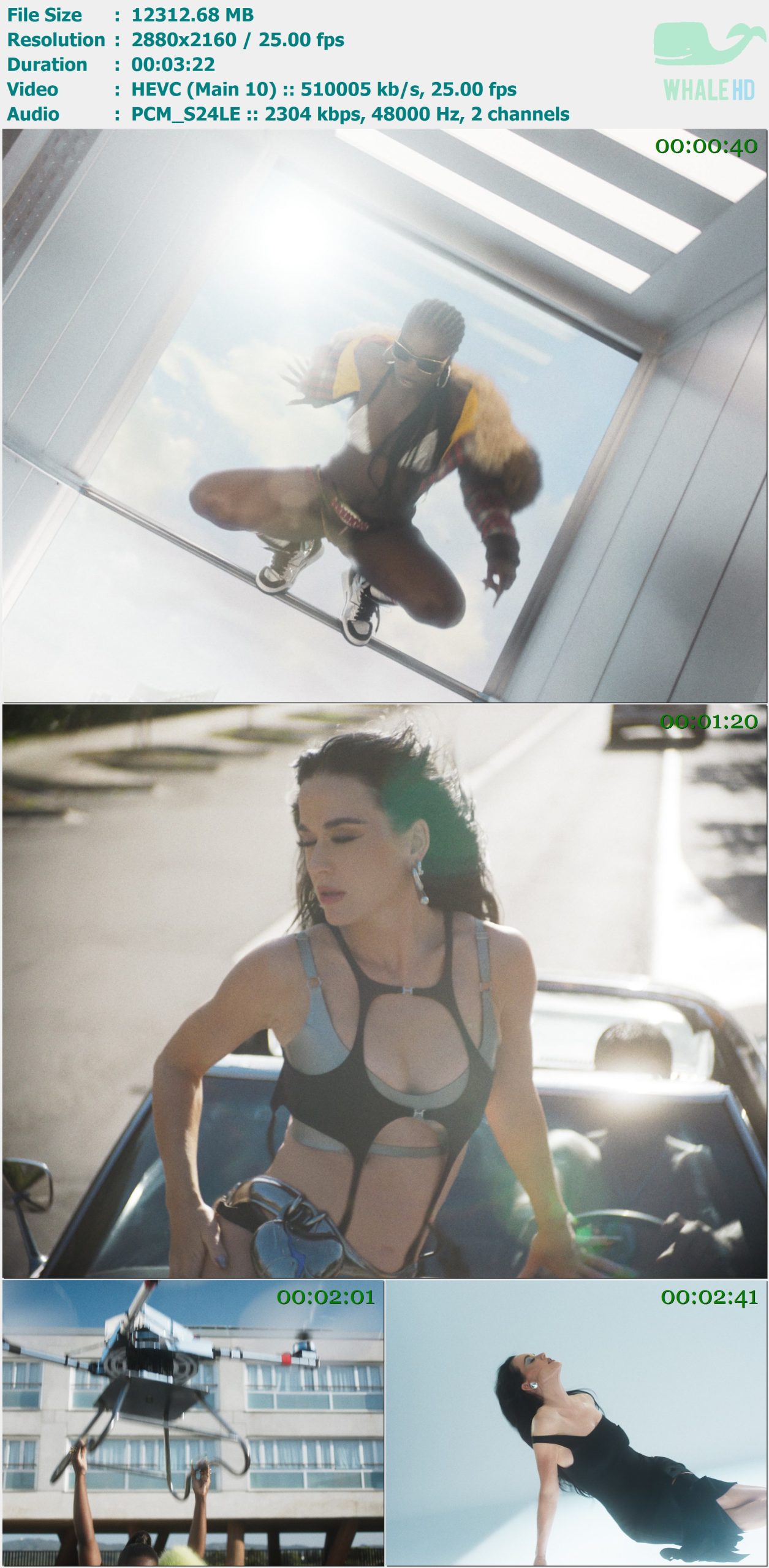 Katy Perry feat. Doechii - I'M HIS, HE'S MINE 2024 MasterRip 2160p X265 - 12.02GB