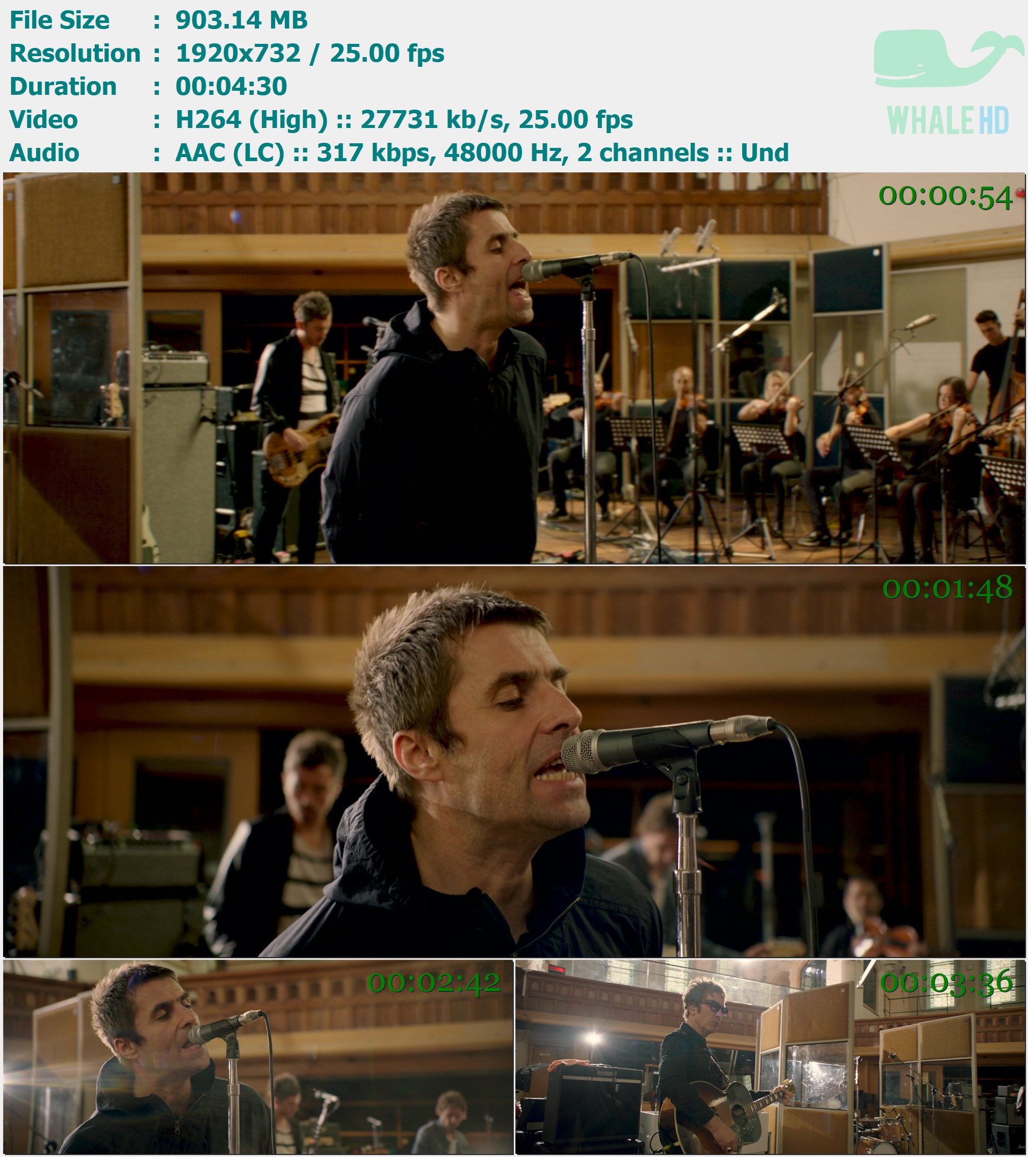 Liam Gallagher - For What It's Worth (Live At Air Studios) 2017 MasterRip 732p H264 - 903.14MB