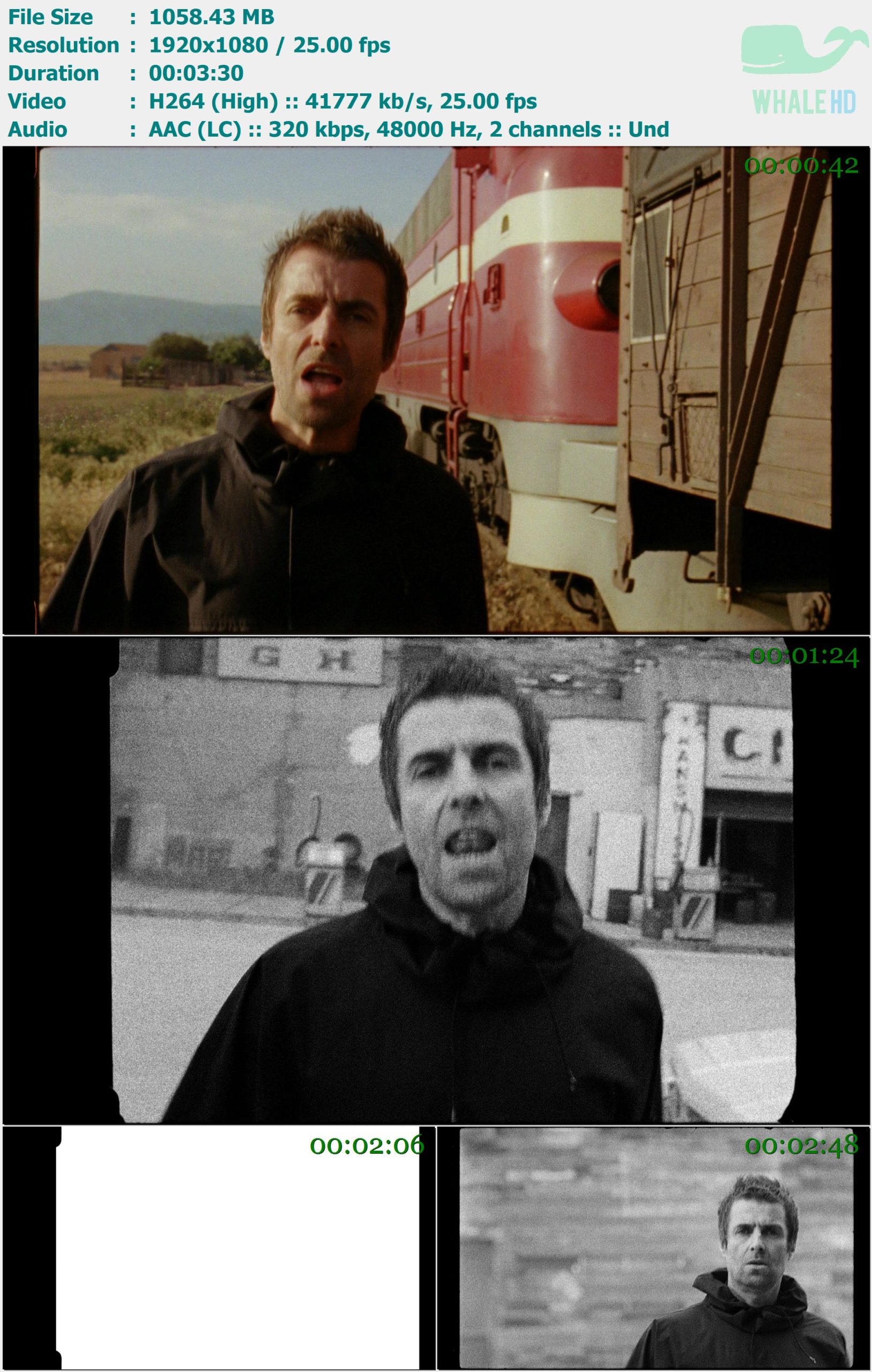 Liam Gallagher - Shockwave 2019 MasterRip 1080p H264 - 1.03GB