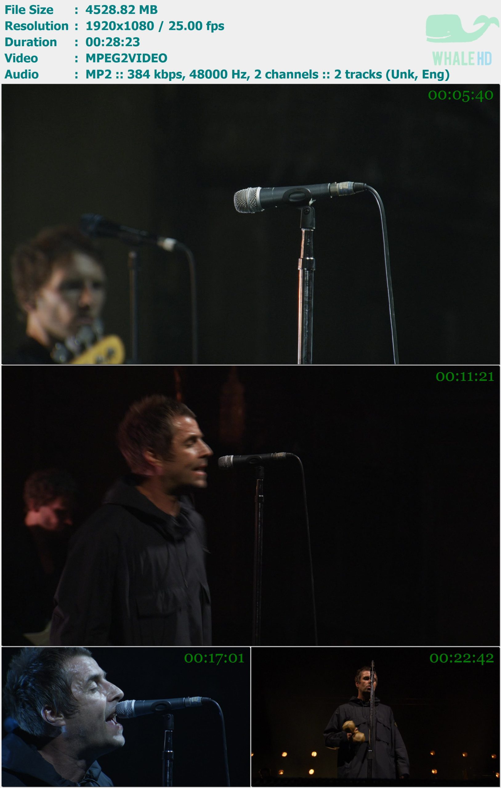 Liam Gallagher - As It Was LIVE 2019 HDTVRip 1080i MPEG2 - 4.42GB