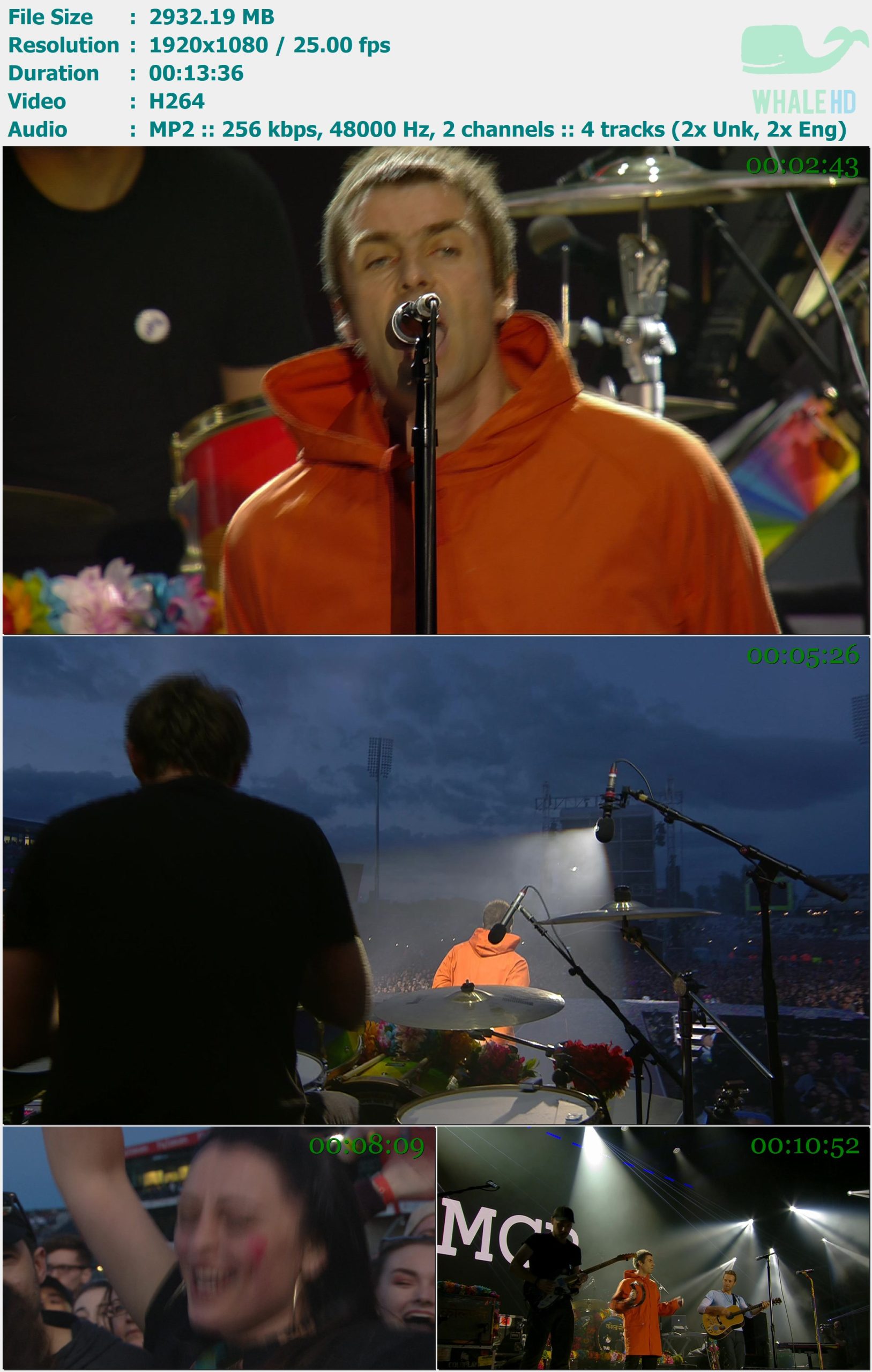 Liam Gallagher - One Love Manchester 2017 FEED 1080i H264 - 2.86GB