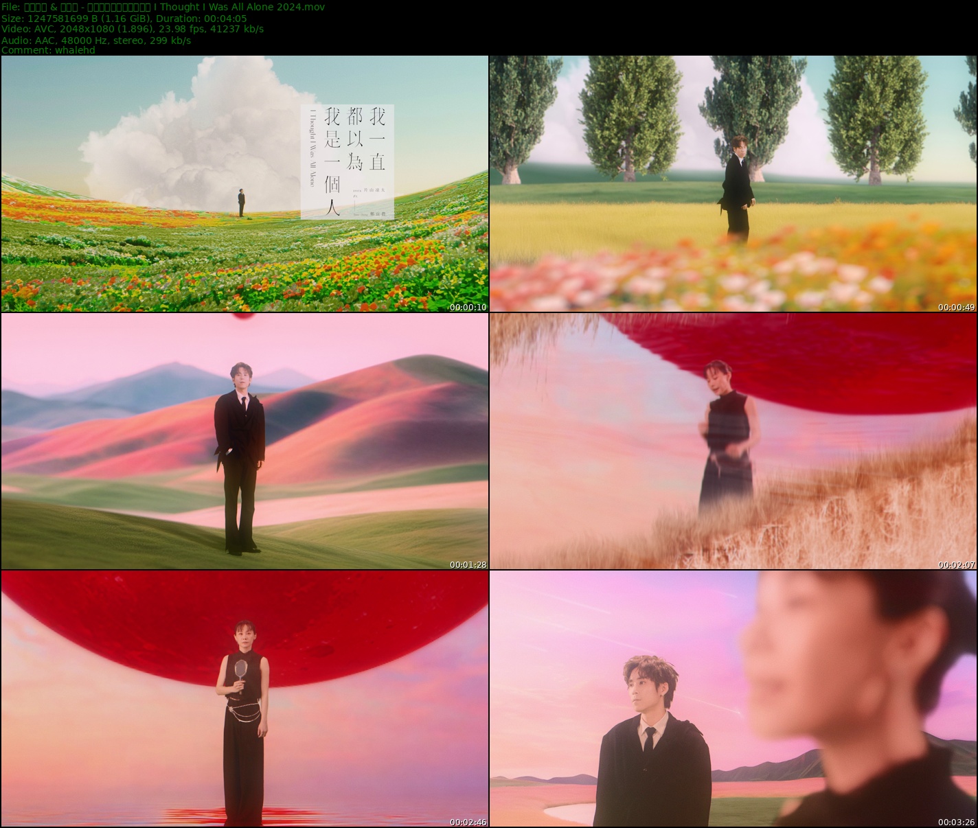 片山凉太 & 郑宜农 - 我一直都以为我是一个人 I Thought I Was All Alone 2024 MasterRip 1080p H264 - 1.16GB
