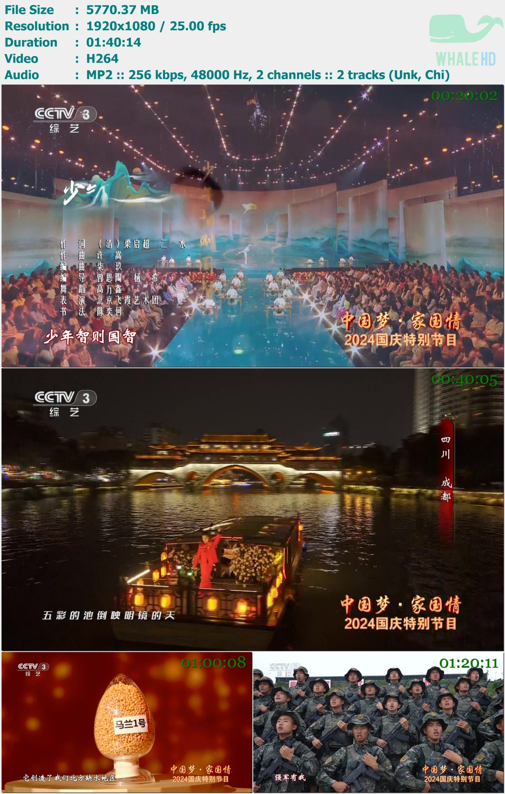 中国梦·家国情——2024国庆特别节目 2024-09-30 HDTV 1080i H264 - 5.64GB