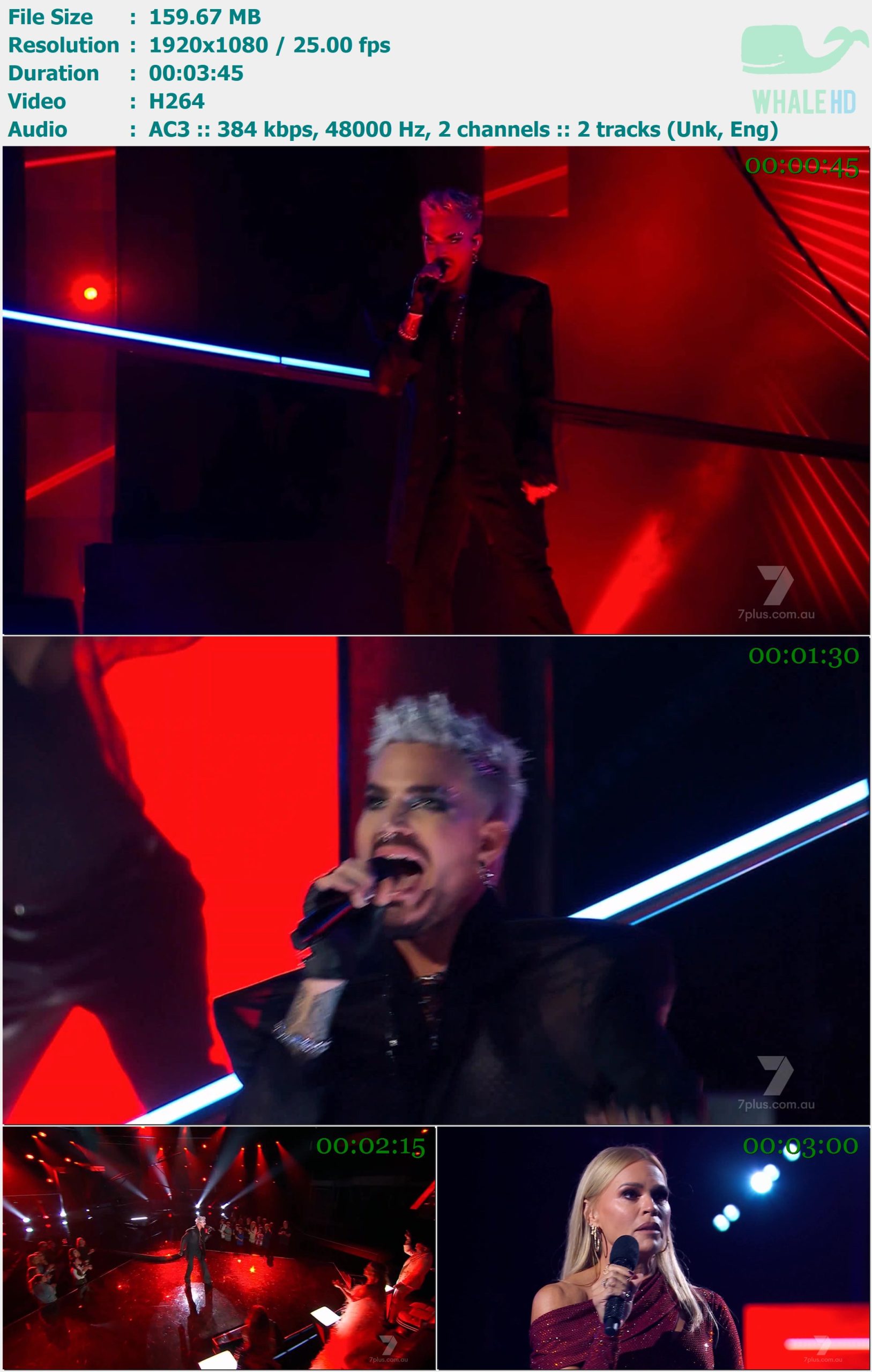 The Voice Australia Finale 澳洲好声音决赛夜 2024-10-27 HDTV 1080i H264 - 983.95MB