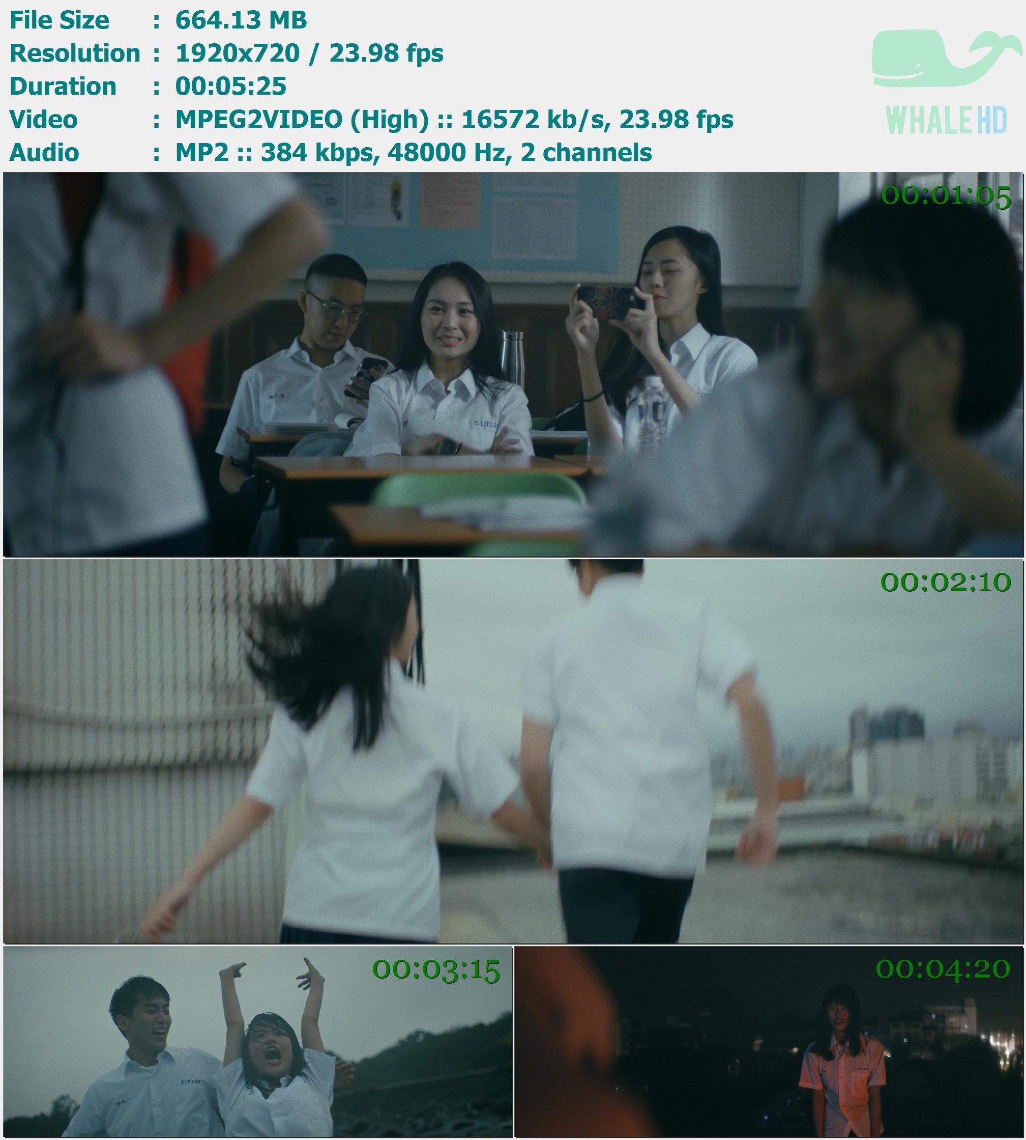 F.I.R. (飞儿乐团) - 爱上属于你的天空 (末日青春:首部曲) 2019 MasterRip 1080p MPEG2 - 664.13MB